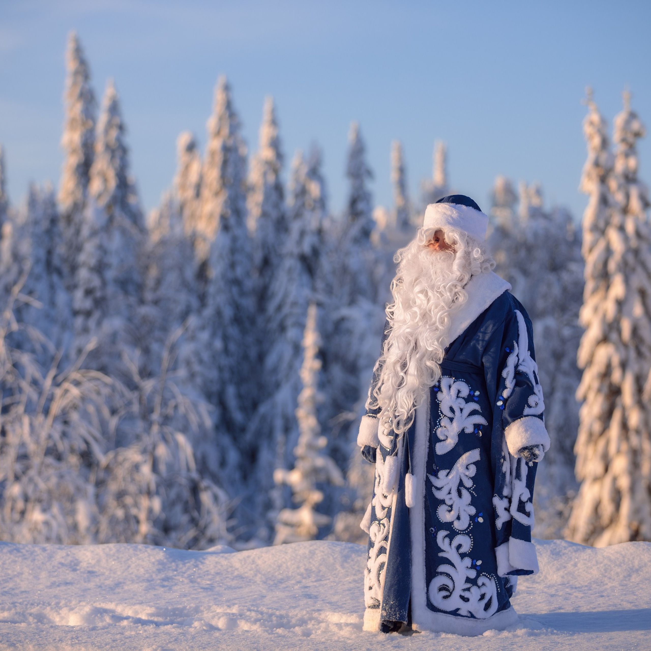 Santa Claus in the winter forest.