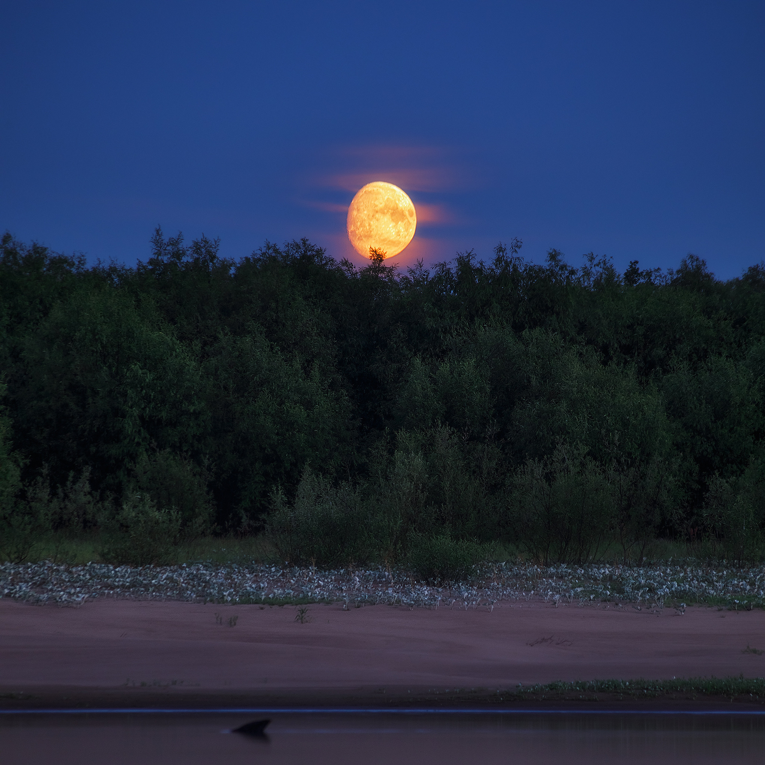 Закат Луны летом у реки.