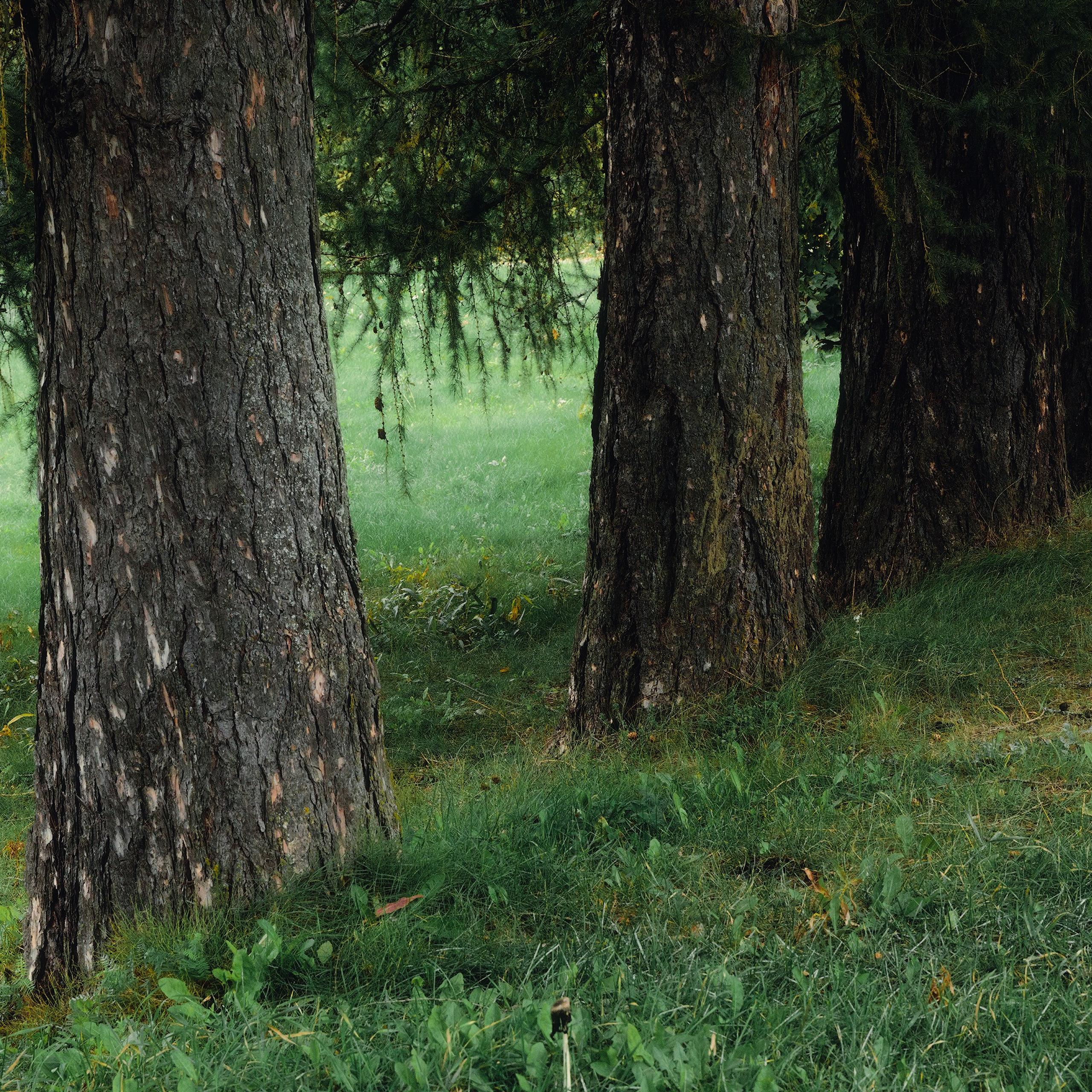 Валаам. Professional landscape and advertising photographer Chalanov Ivan