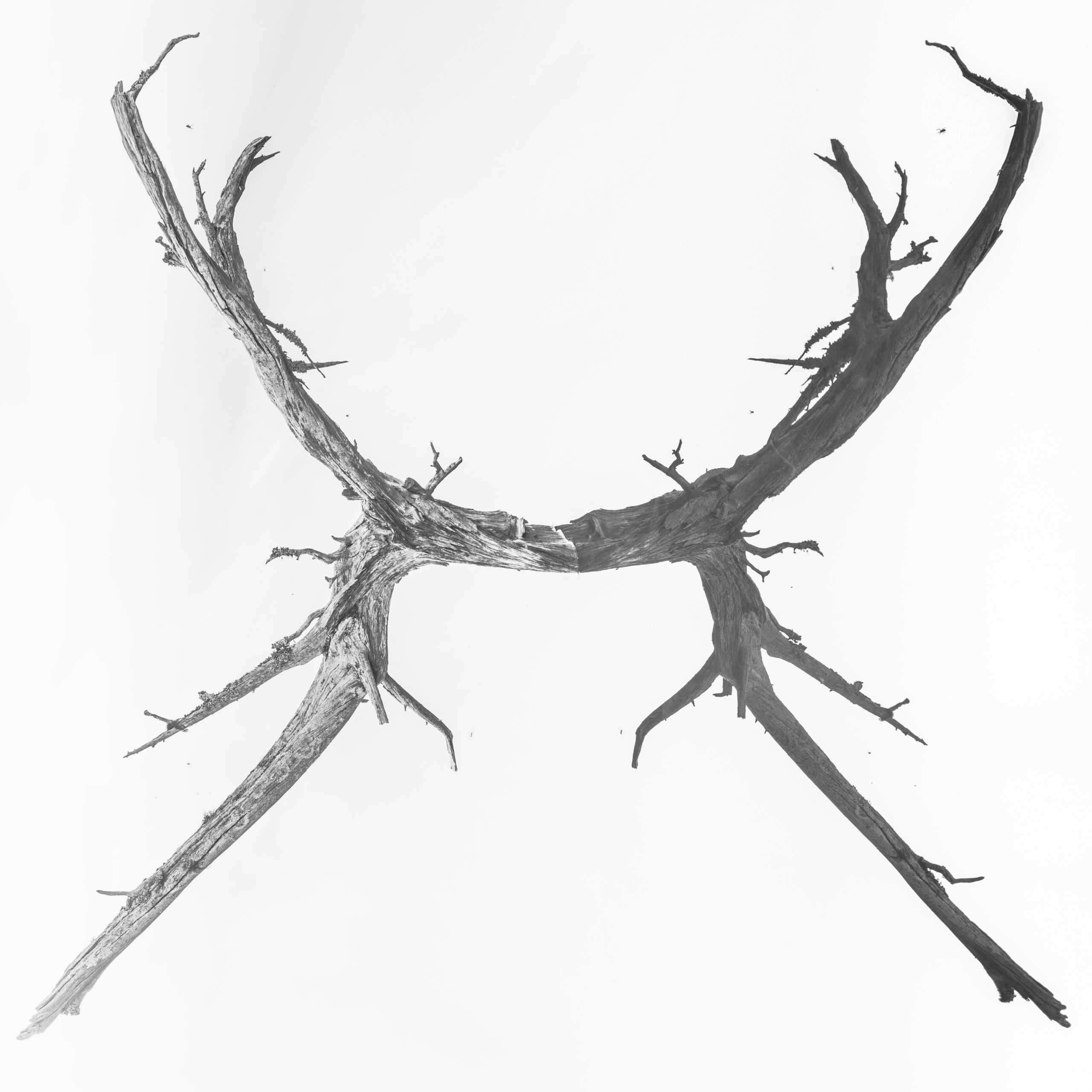 Interior photography. Gallery photography. Photography for interior. Photography for interior design. Landscape on the wall.