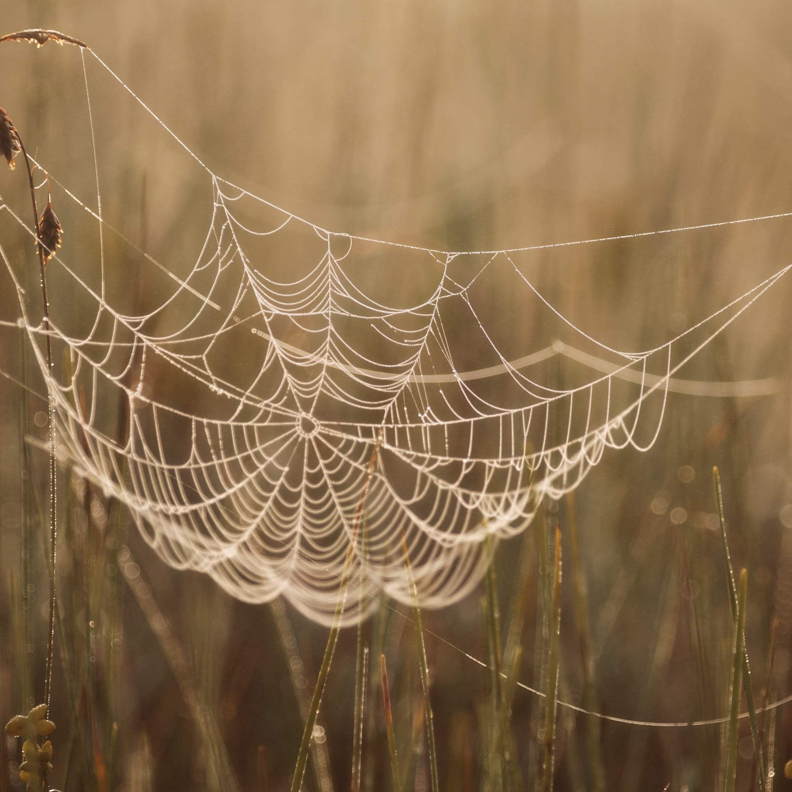 Interior photography. Gallery photography. Interior photography. Interior design photography. Wall landscapes. Art photography. Fine art photography.