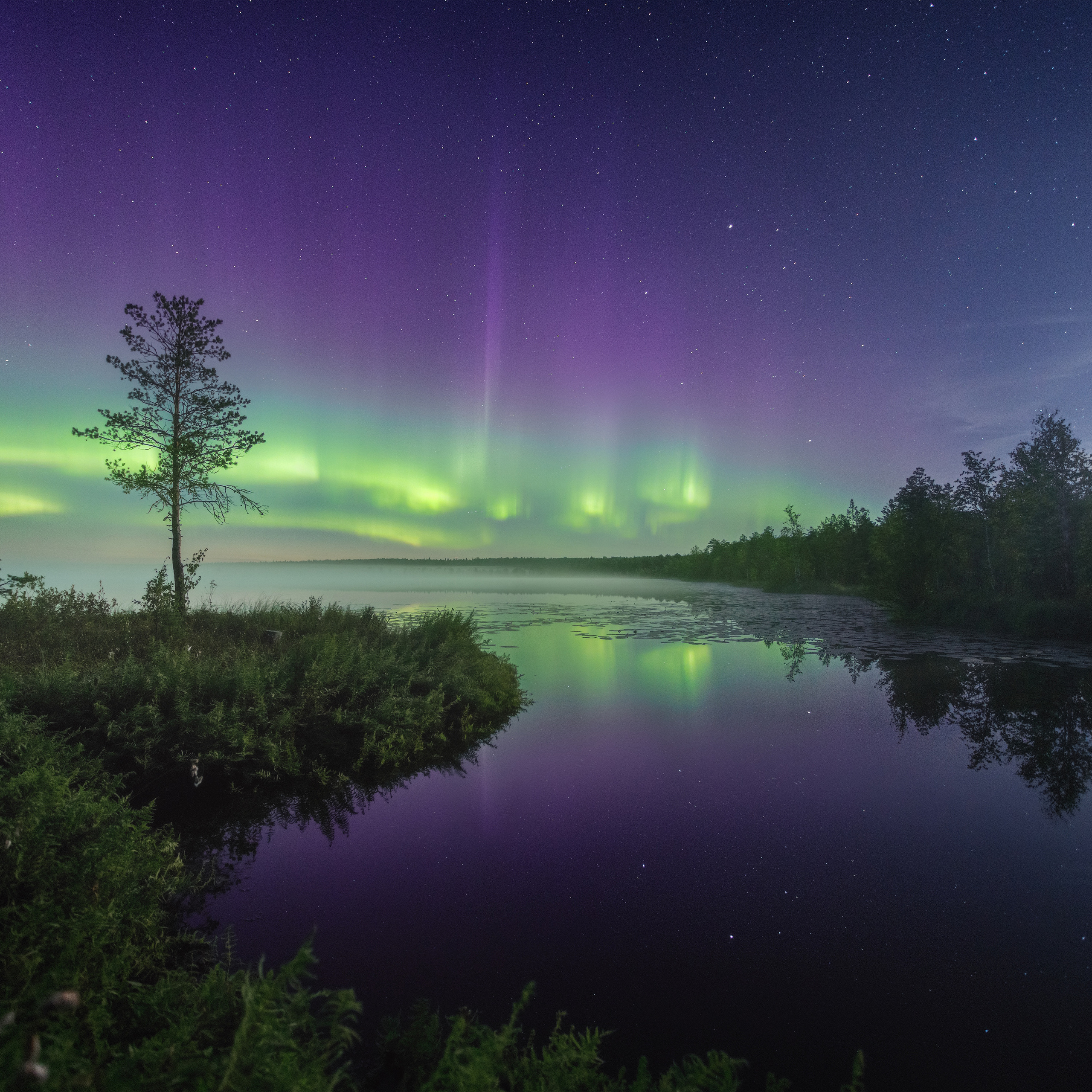 Northern lights on the lake in the Komi Republic
