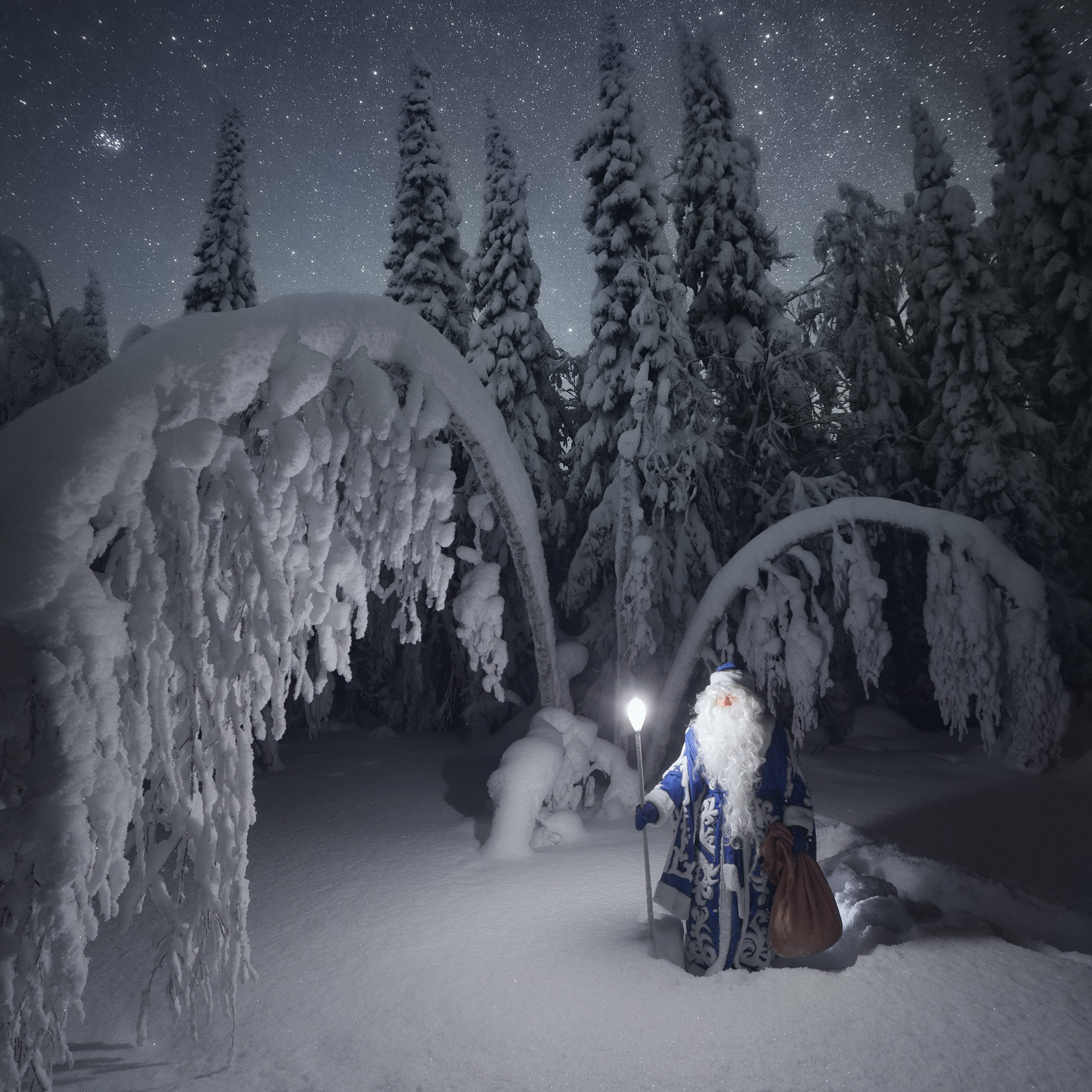 Santa Claus in the winter forest at night