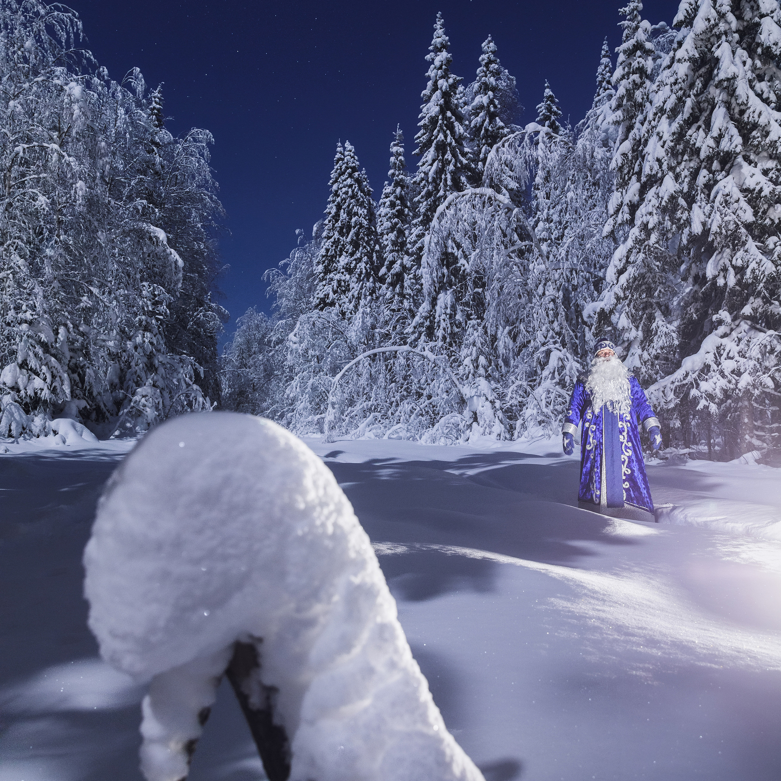 Дедушка мороз в зимнем лесу ночью. Волшебный мир Дедушки Мороза.