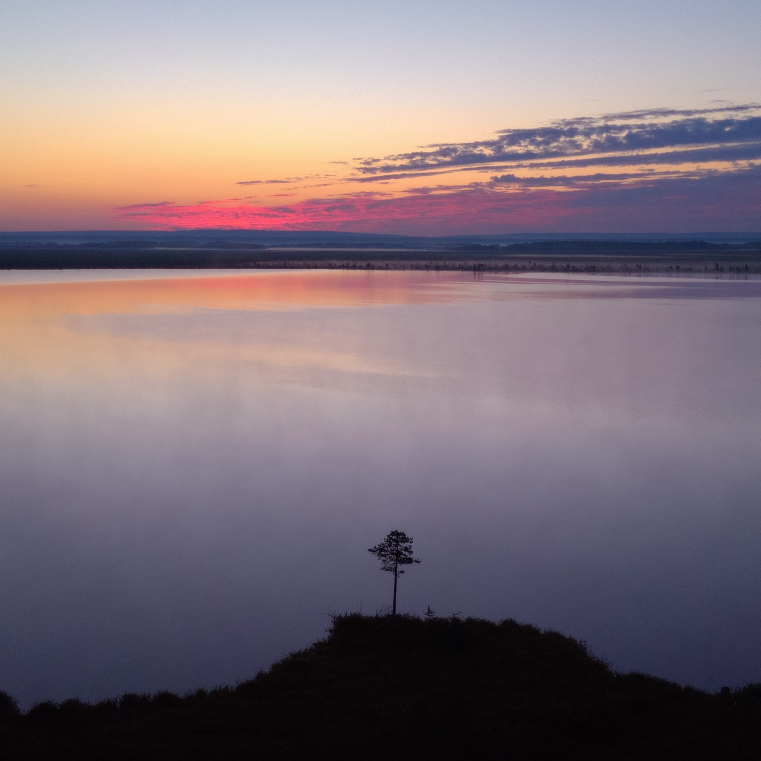 Interior photography. Gallery photography. Photography for interior. Photography for interior design. Landscape on the wall.