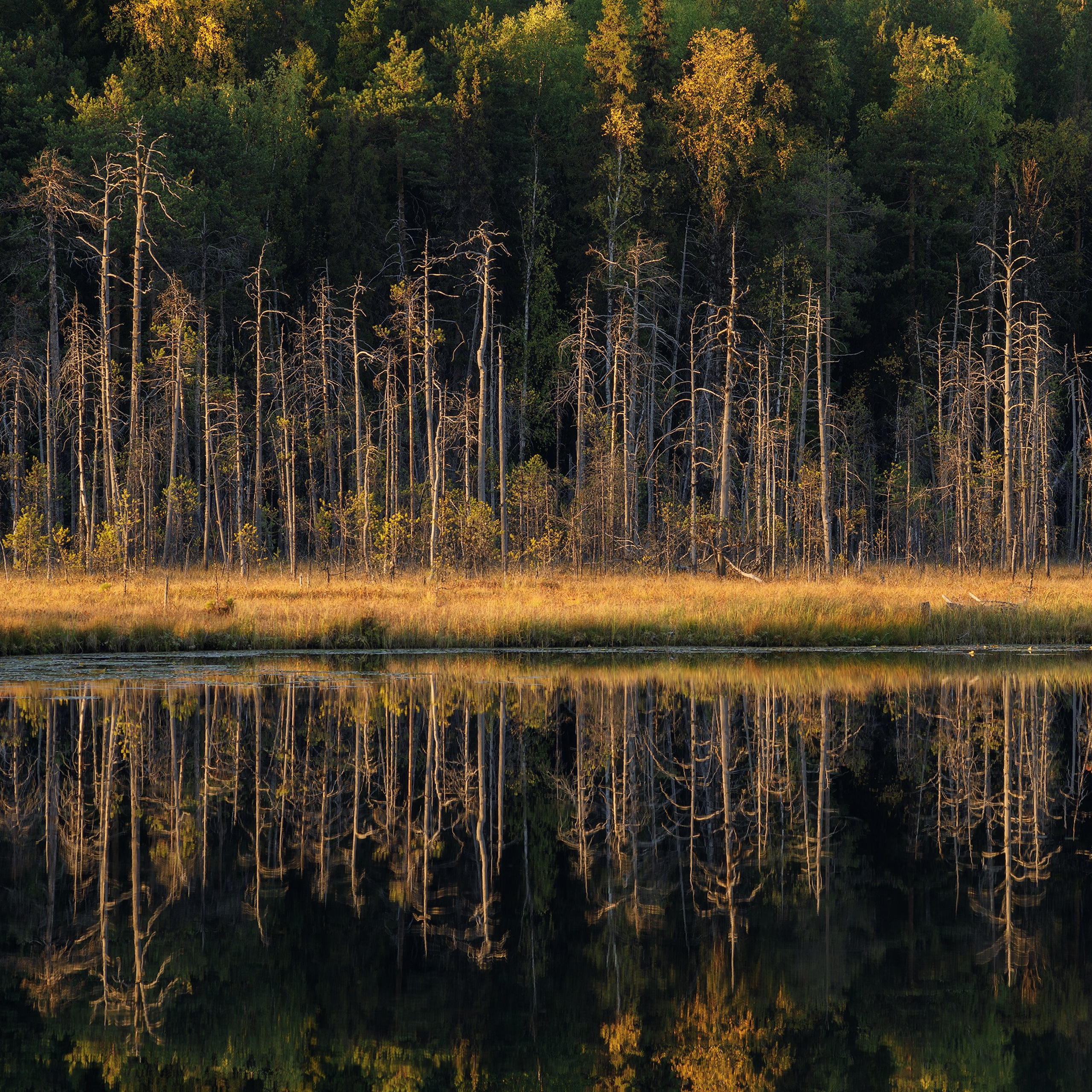 Interior photography. Gallery photography. Photography for interior. Photography for interior design. Landscape on the wall.