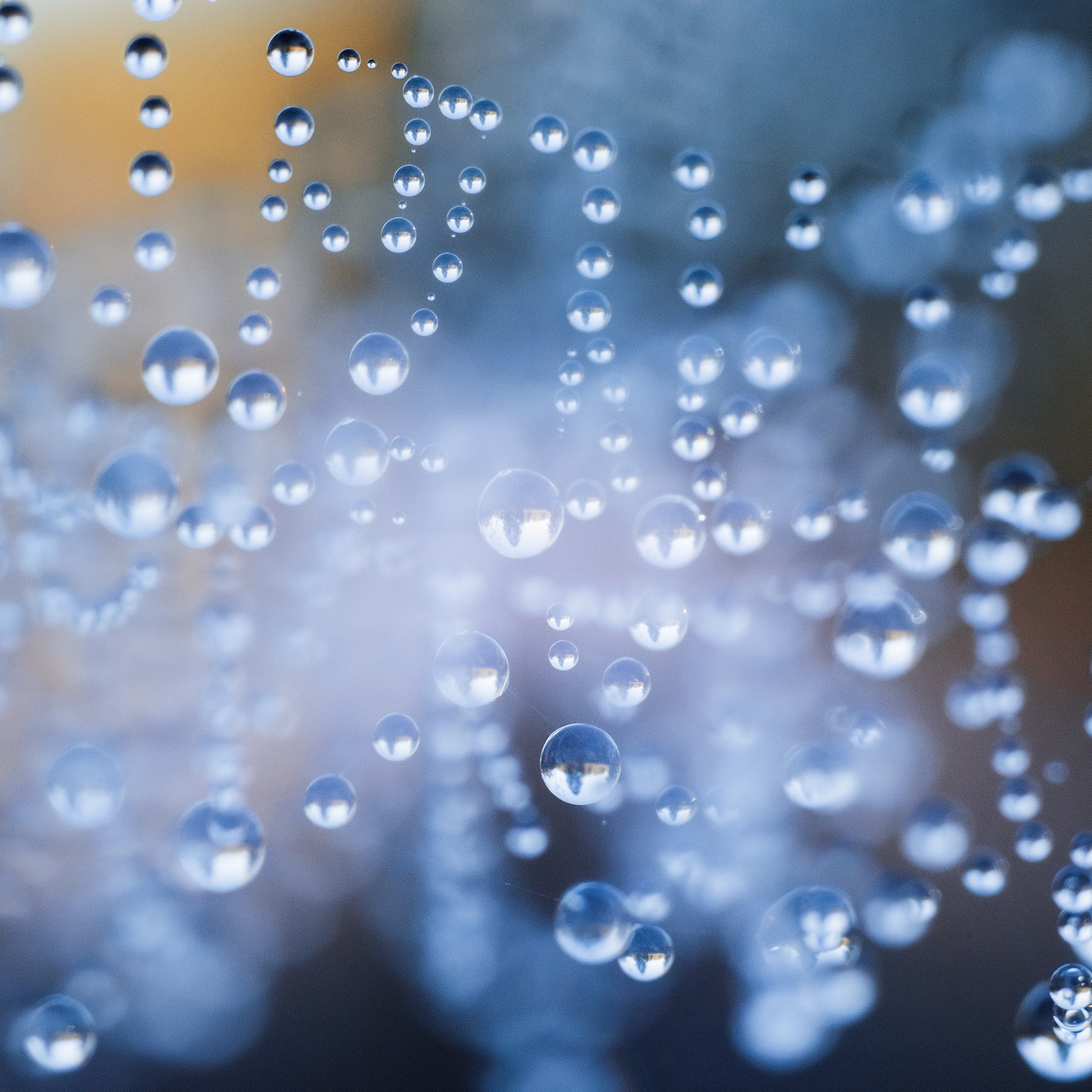 Interior photography. Gallery photography. Photography for interior. Photography for interior design. Landscape on the wall.