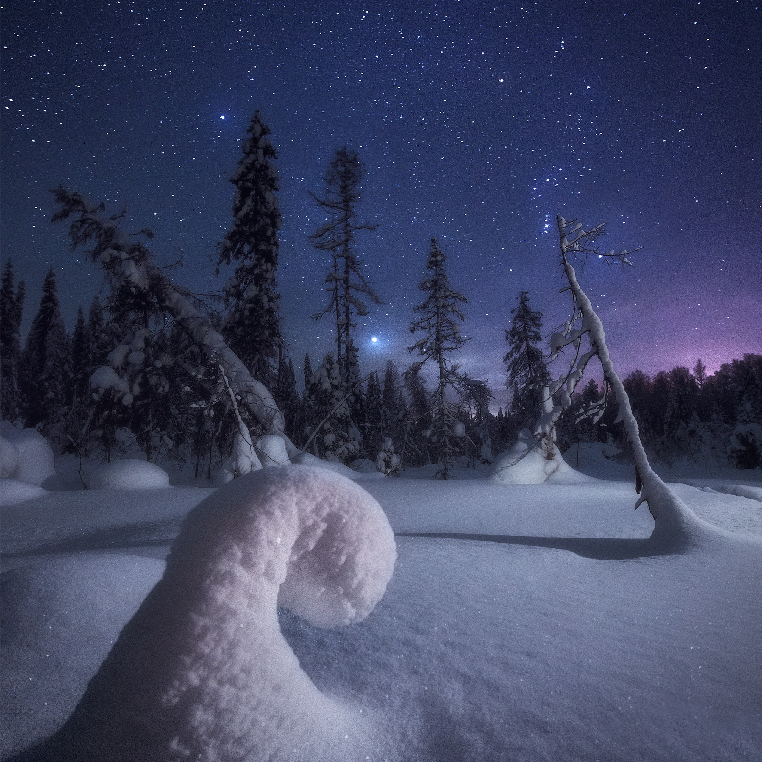 Звёздная ночь в зимней тайге. Звёздный аммонит.