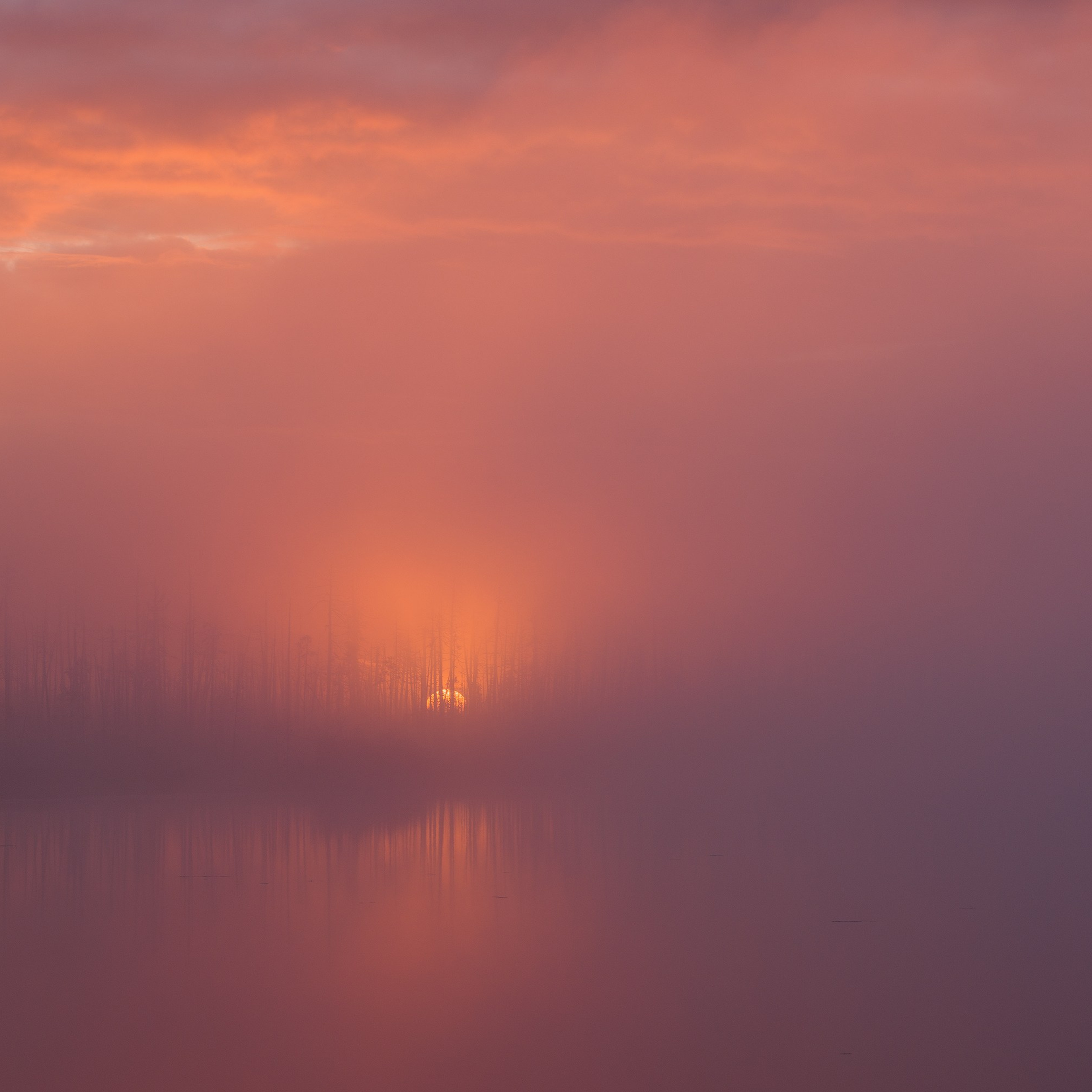 Interior photography. Gallery photography. Photography for interior. Photography for interior design. Landscape on the wall.