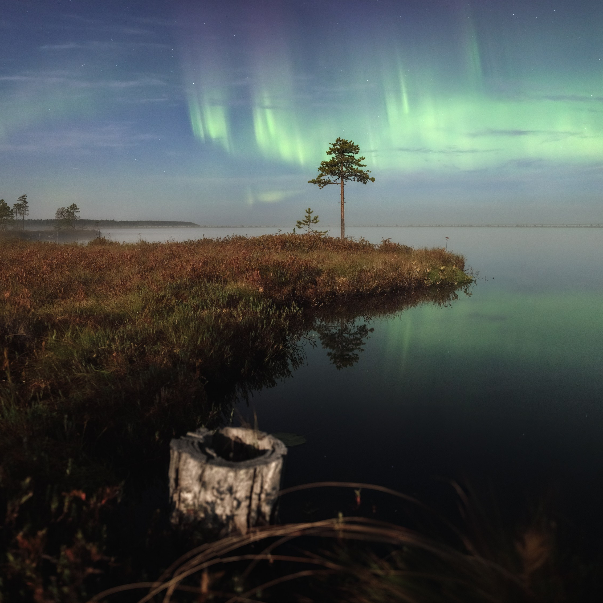 Northern Lights at full moon. Northern Lights over Lake Sredniy Kadam. Northern Lights over an autumn swamp.