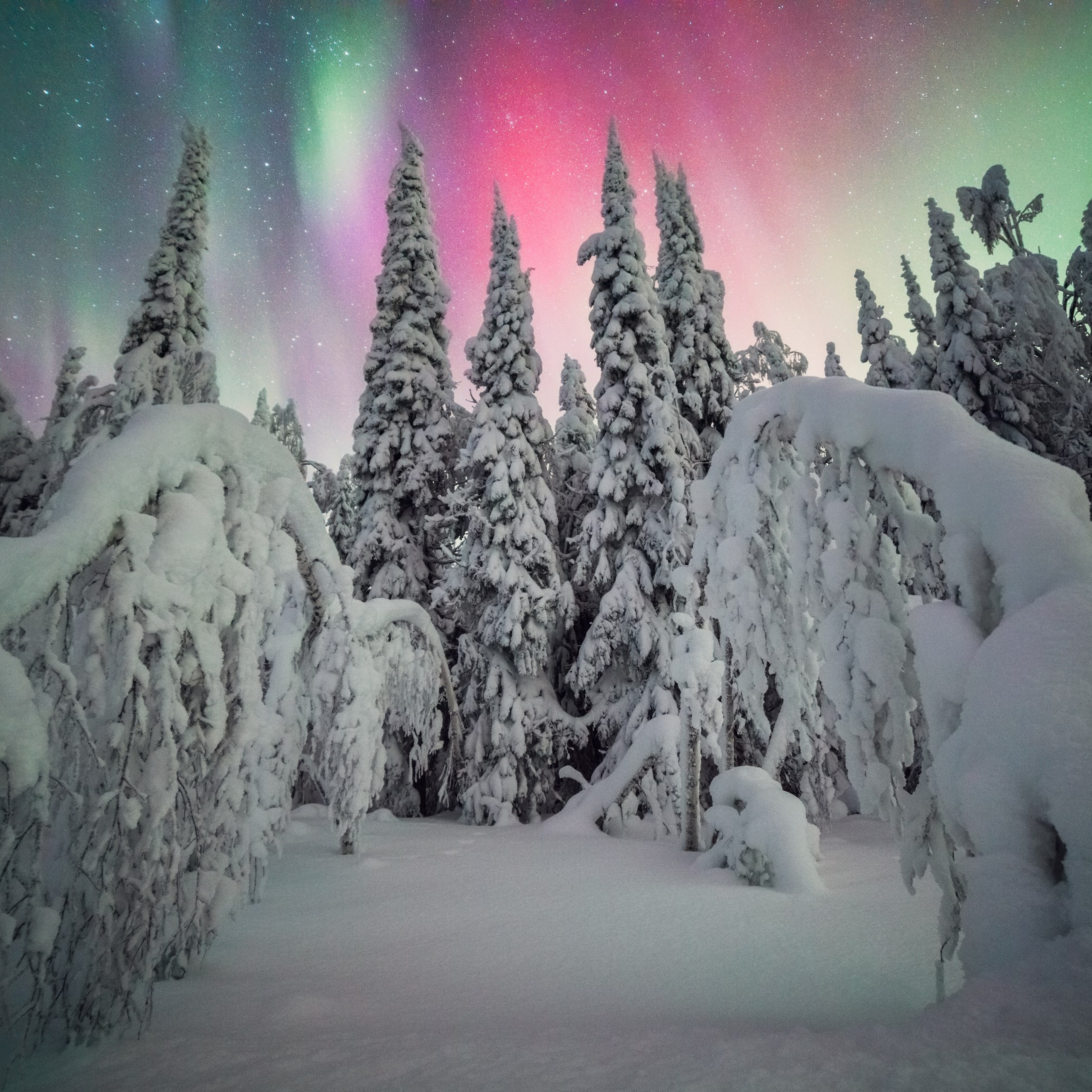 Photographs of the Northern Lights. Professional landscape and advertising photographer Chalanov Ivan