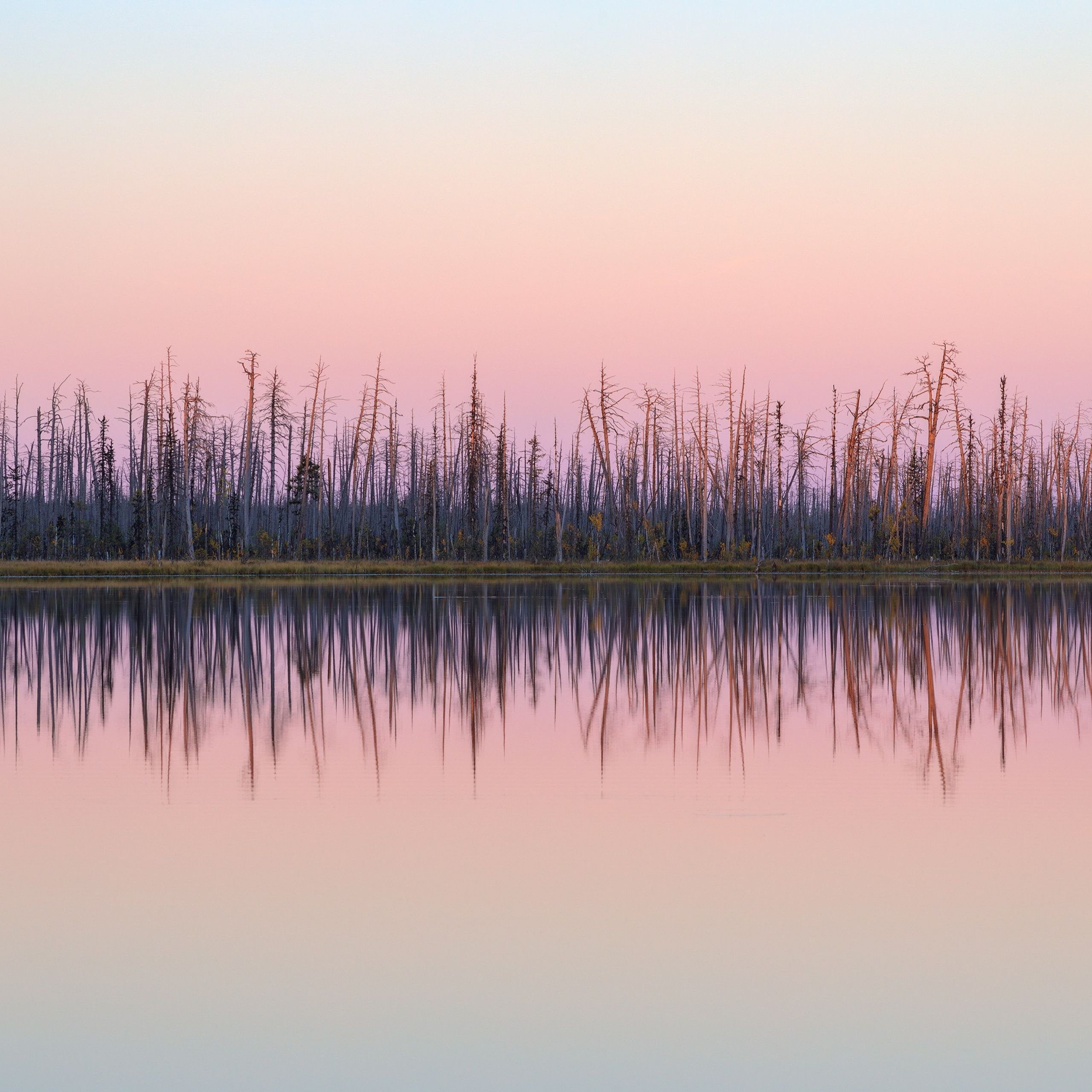 Interior photography. Gallery photography. Photography for interior. Photography for interior design. Landscape on the wall.