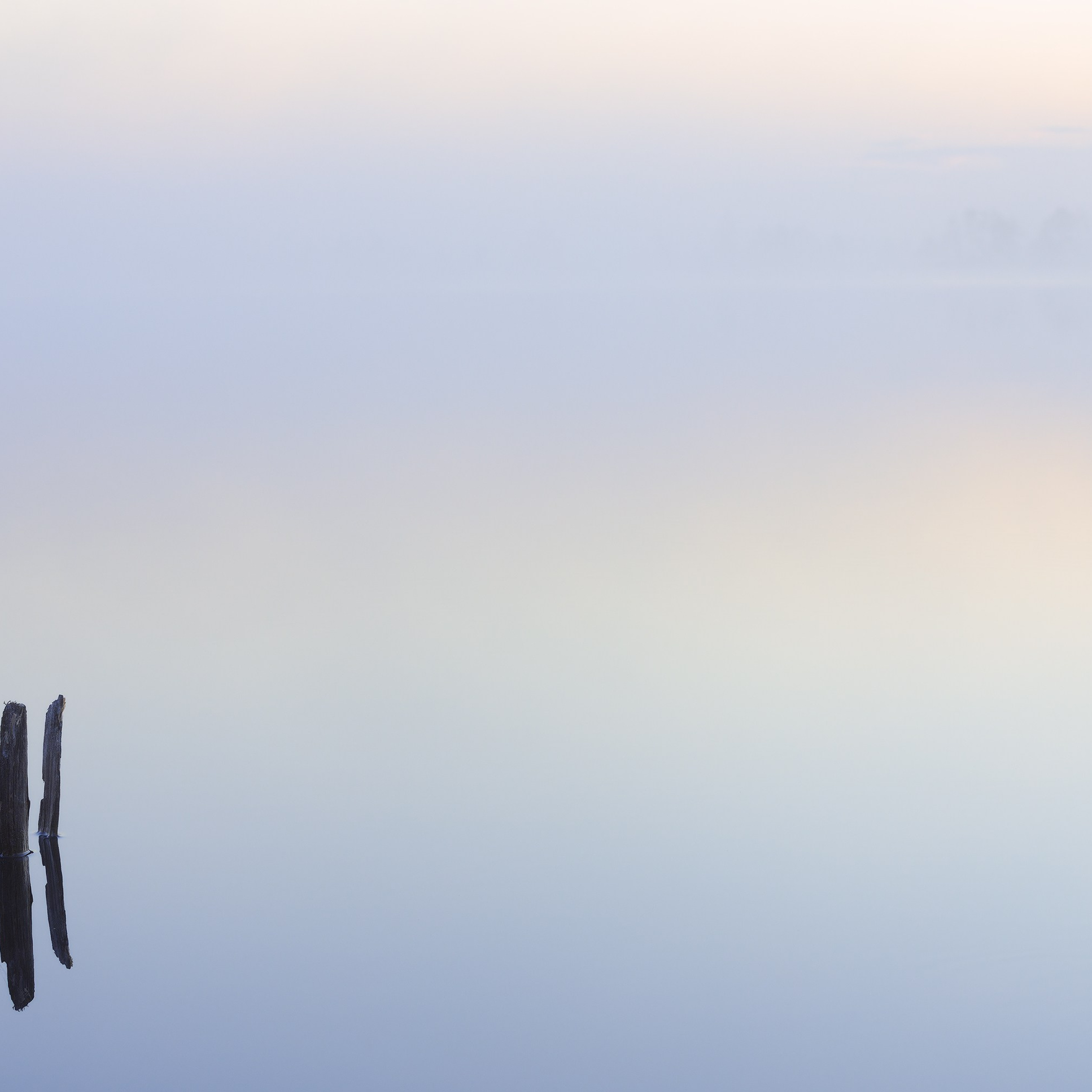 Interior photography. Gallery photography. Photography for interior. Photography for interior design. Landscape on the wall.