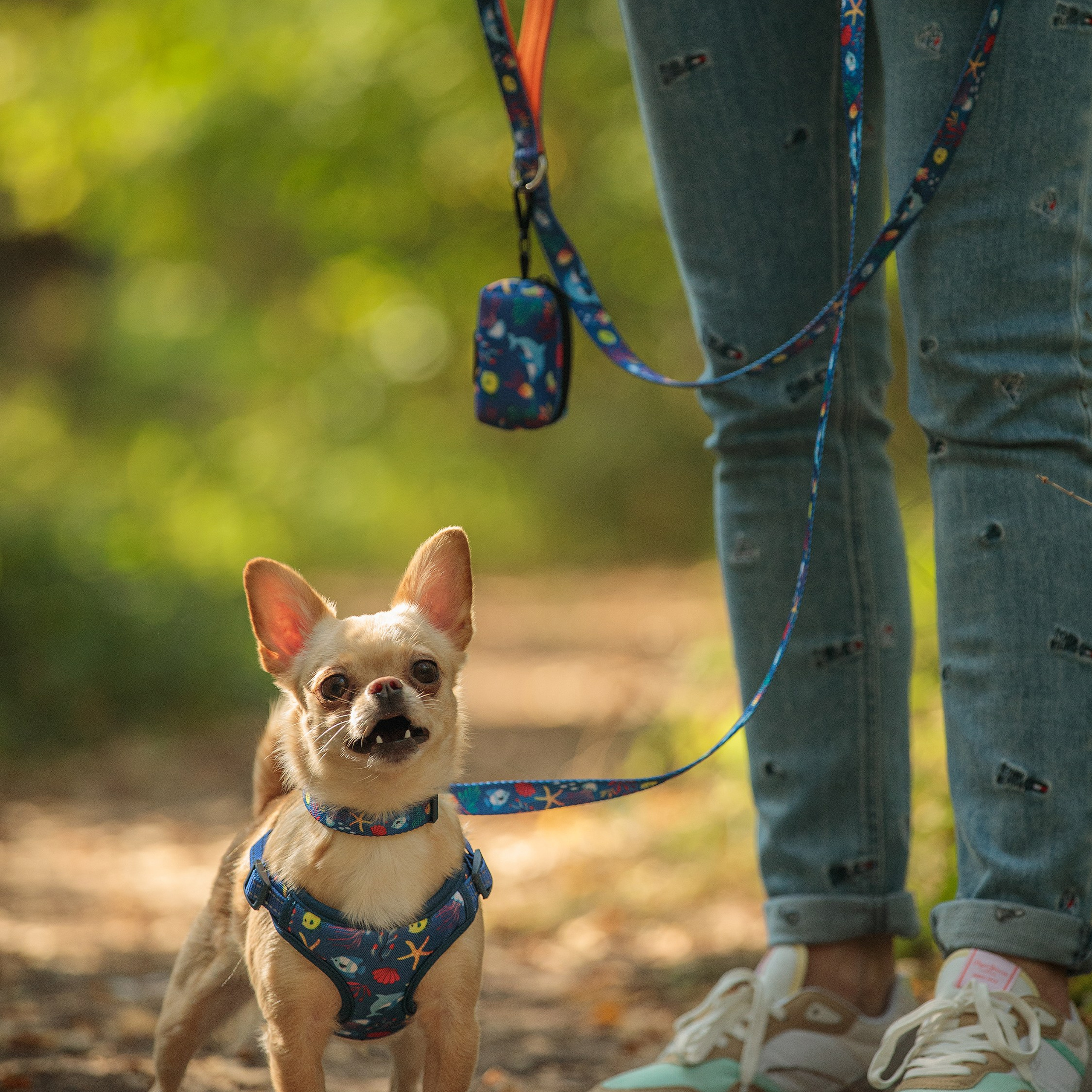 Модельная съемка с животными. Фотосъёмка с животными. Съемка аксессуаров для домашних животных.