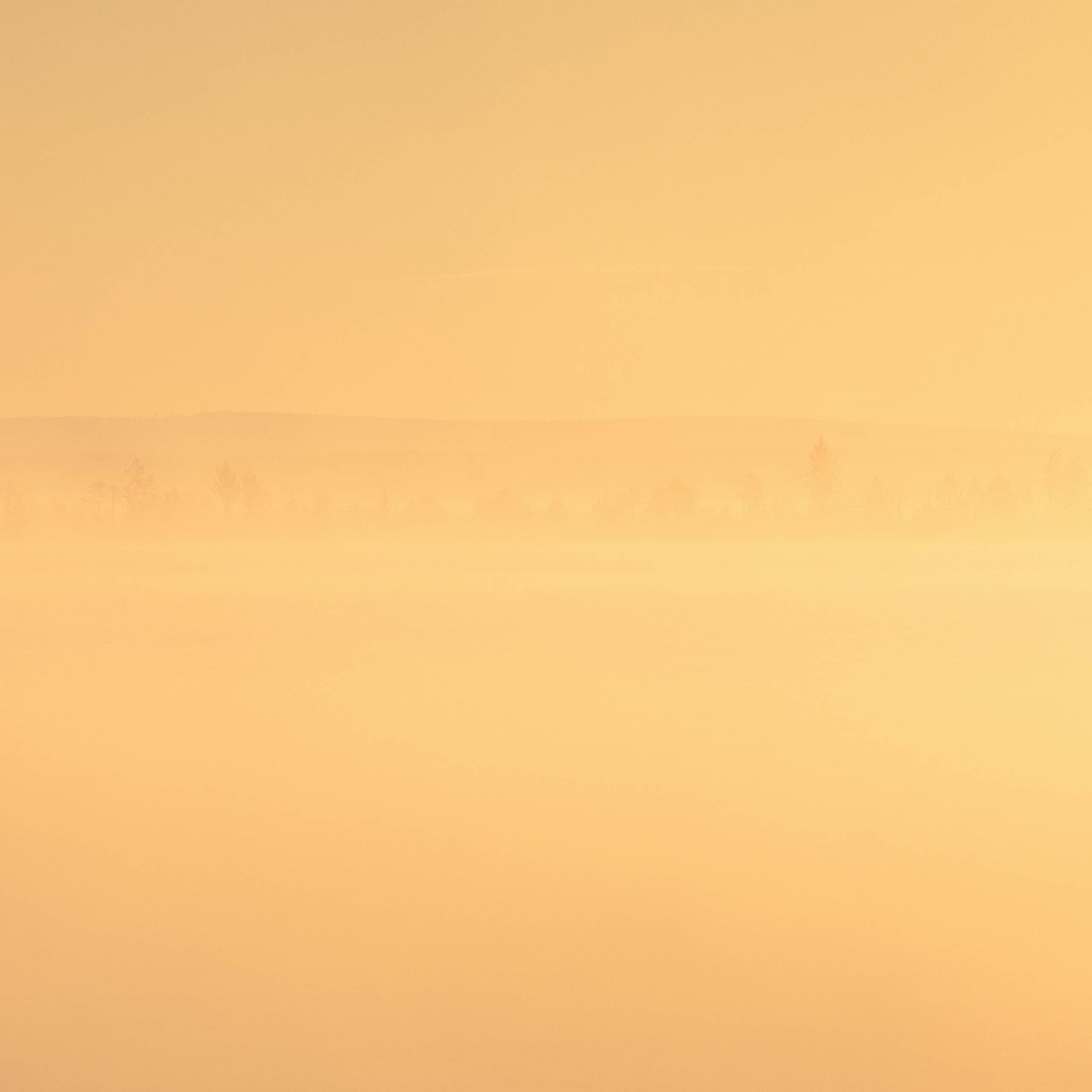 Interior photography. Gallery photography. Photography for interior. Photography for interior design. Landscape on the wall.