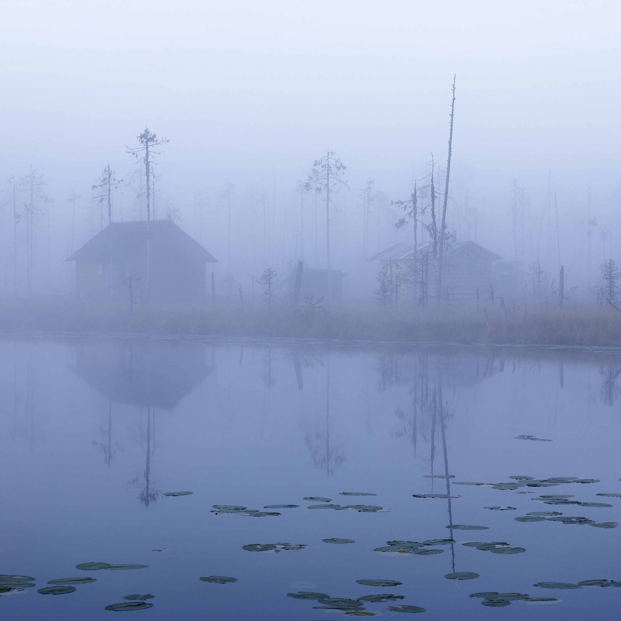 Interior photography. Gallery photography. Photography for interior. Photography for interior design. Landscape on the wall.