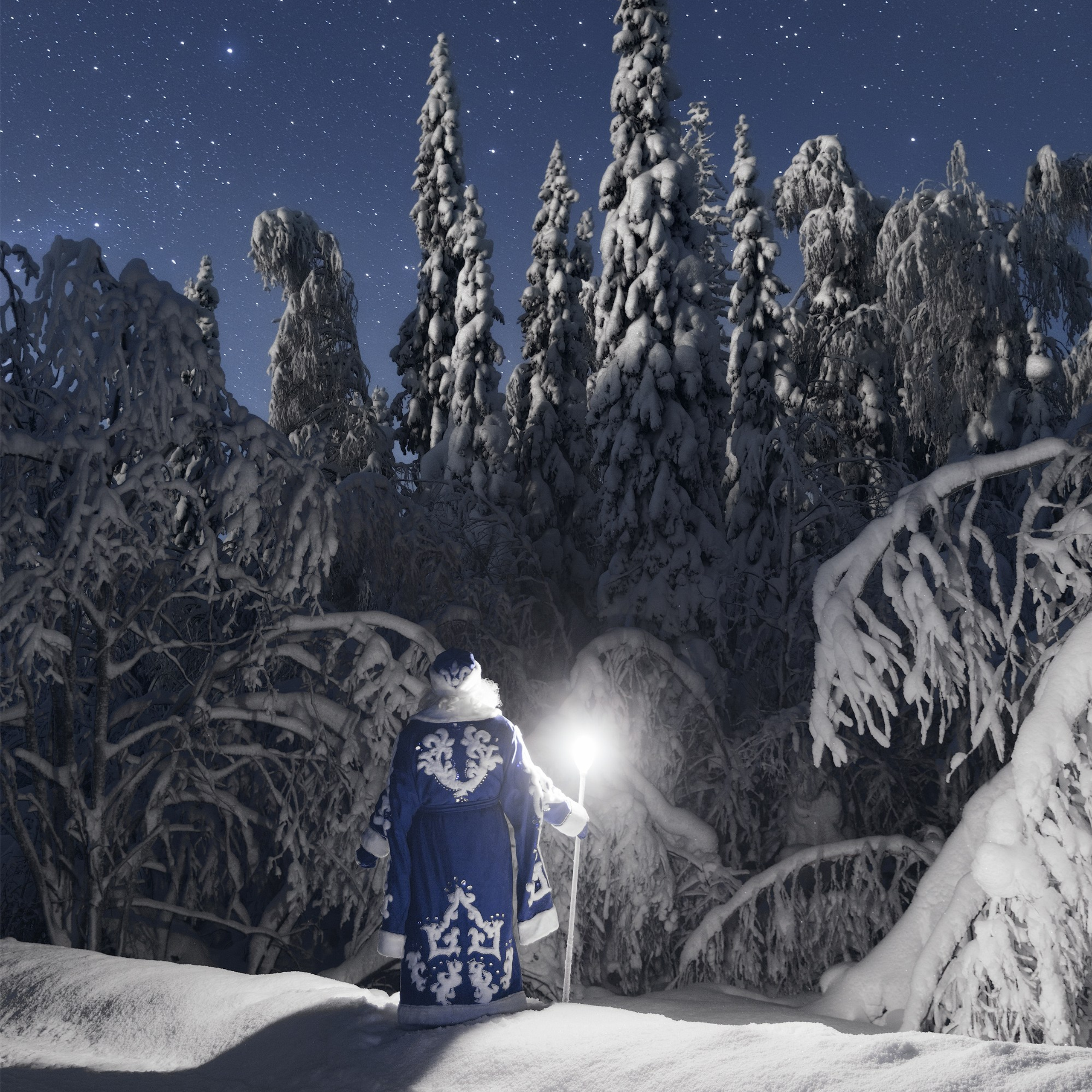 Santa Claus in the winter forest at night