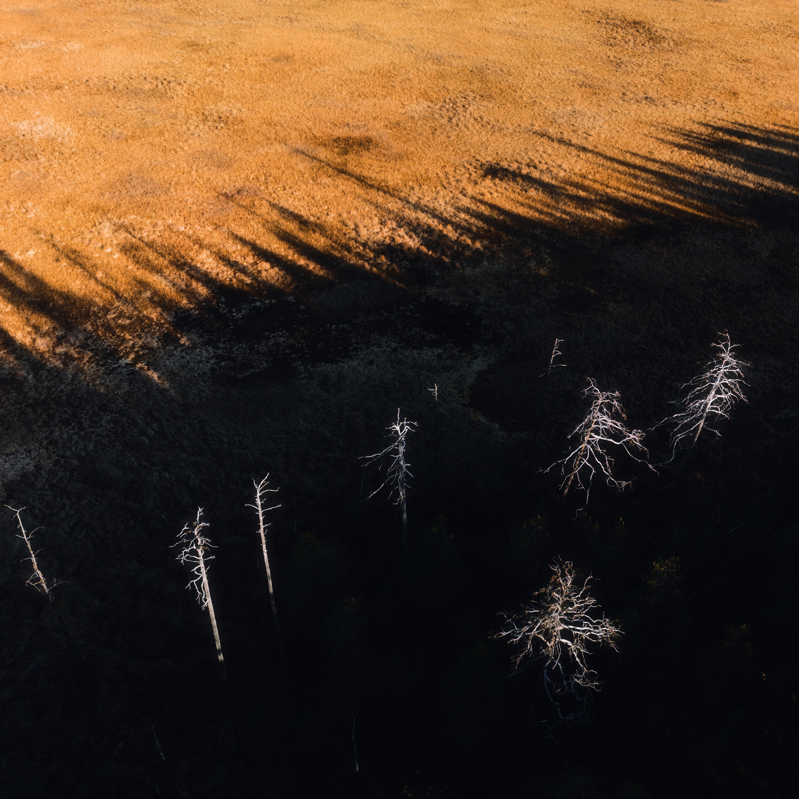 Interior photography. Gallery photography. Interior photography. Interior design photography. Wall landscapes. Art photography. Fine art photography.