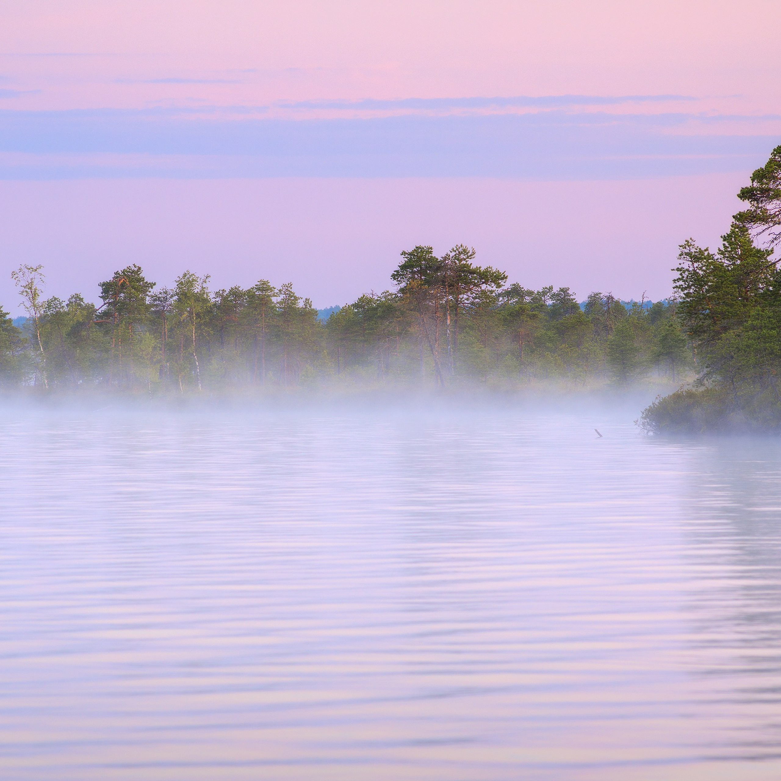 Interior photography. Gallery photography. Photography for interior. Photography for interior design. Landscape on the wall.