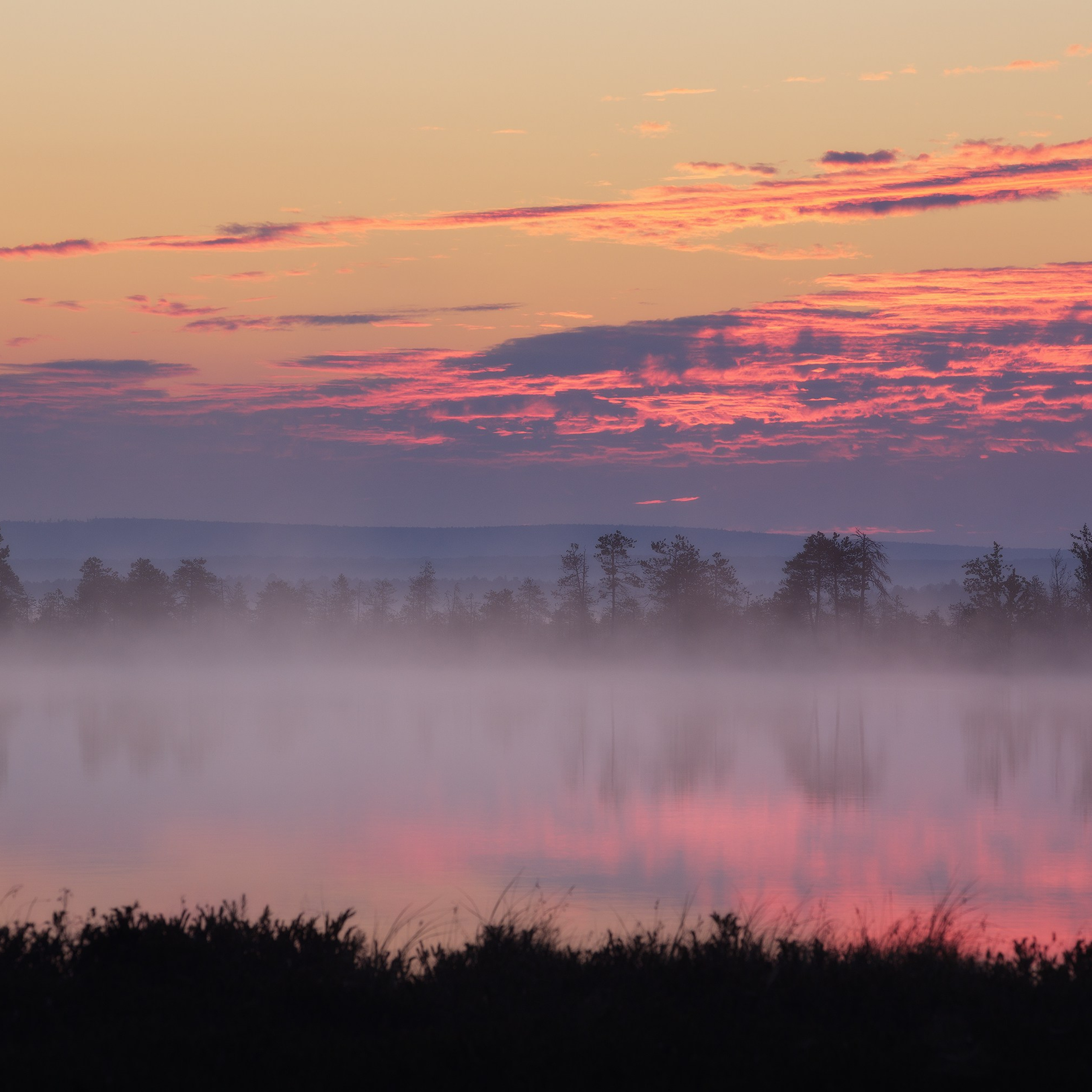 Interior photography. Gallery photography. Photography for interior. Photography for interior design. Landscape on the wall.