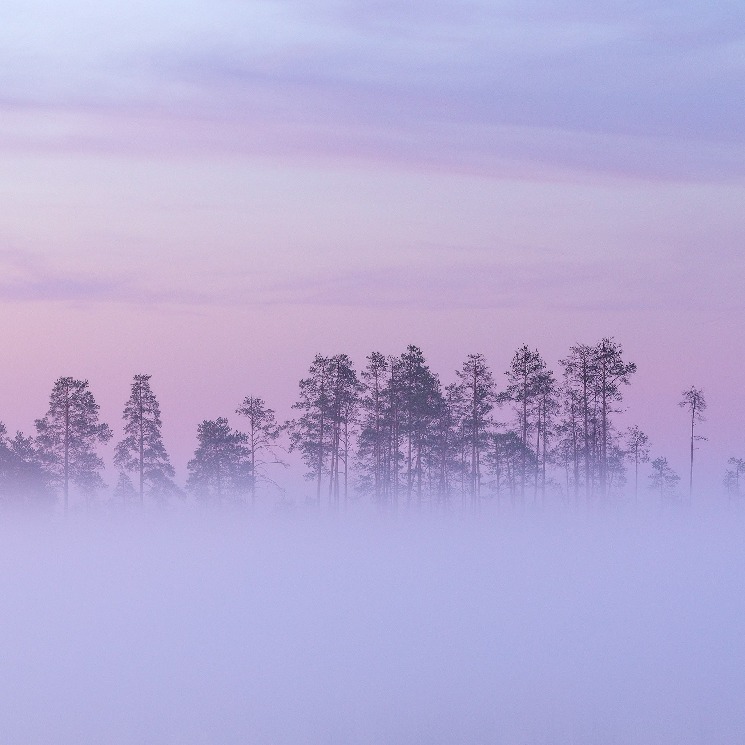 Interior photography. Gallery photography. Photography for interior. Photography for interior design. Landscape on the wall.