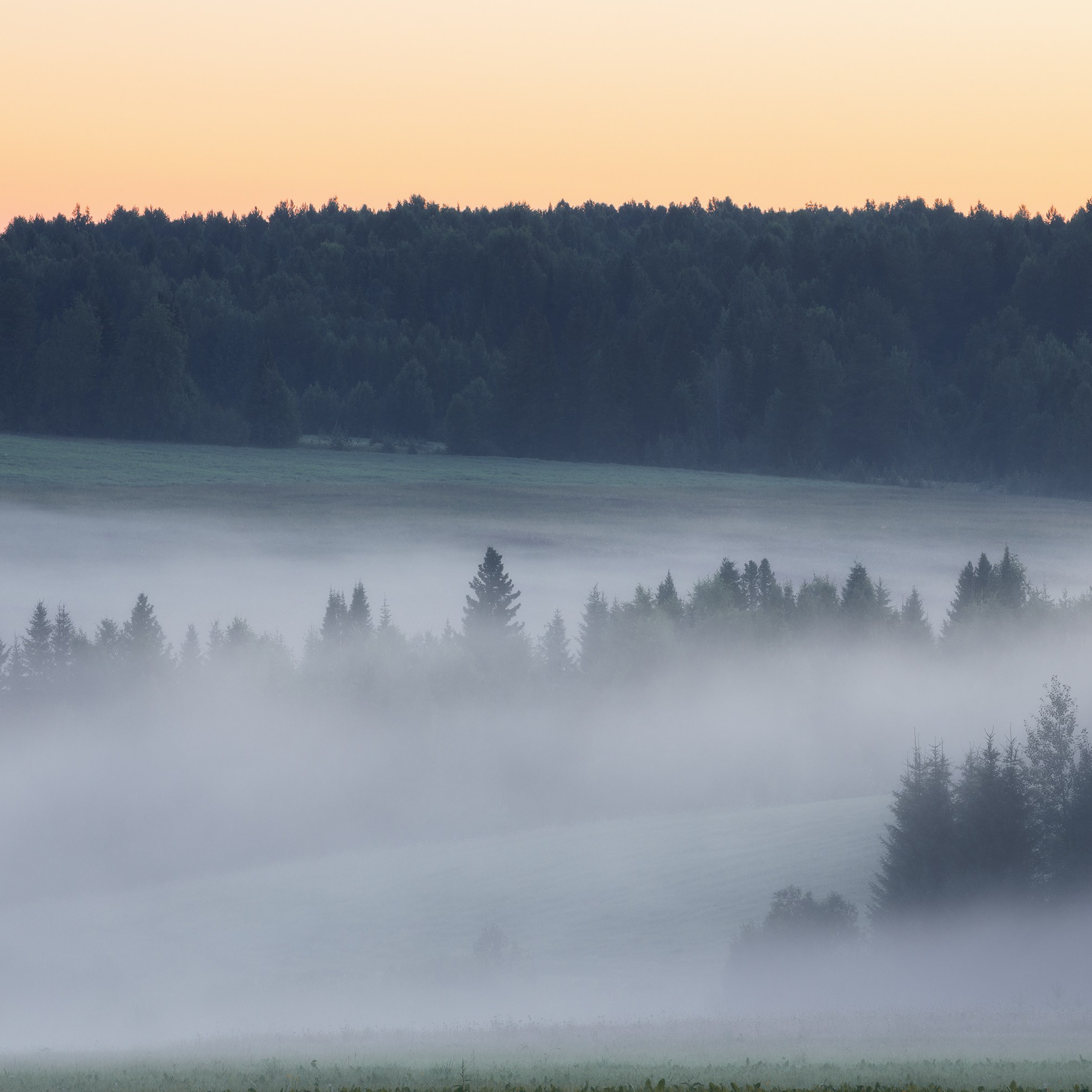 Interior photography. Gallery photography. Photography for interior. Photography for interior design. Landscape on the wall.