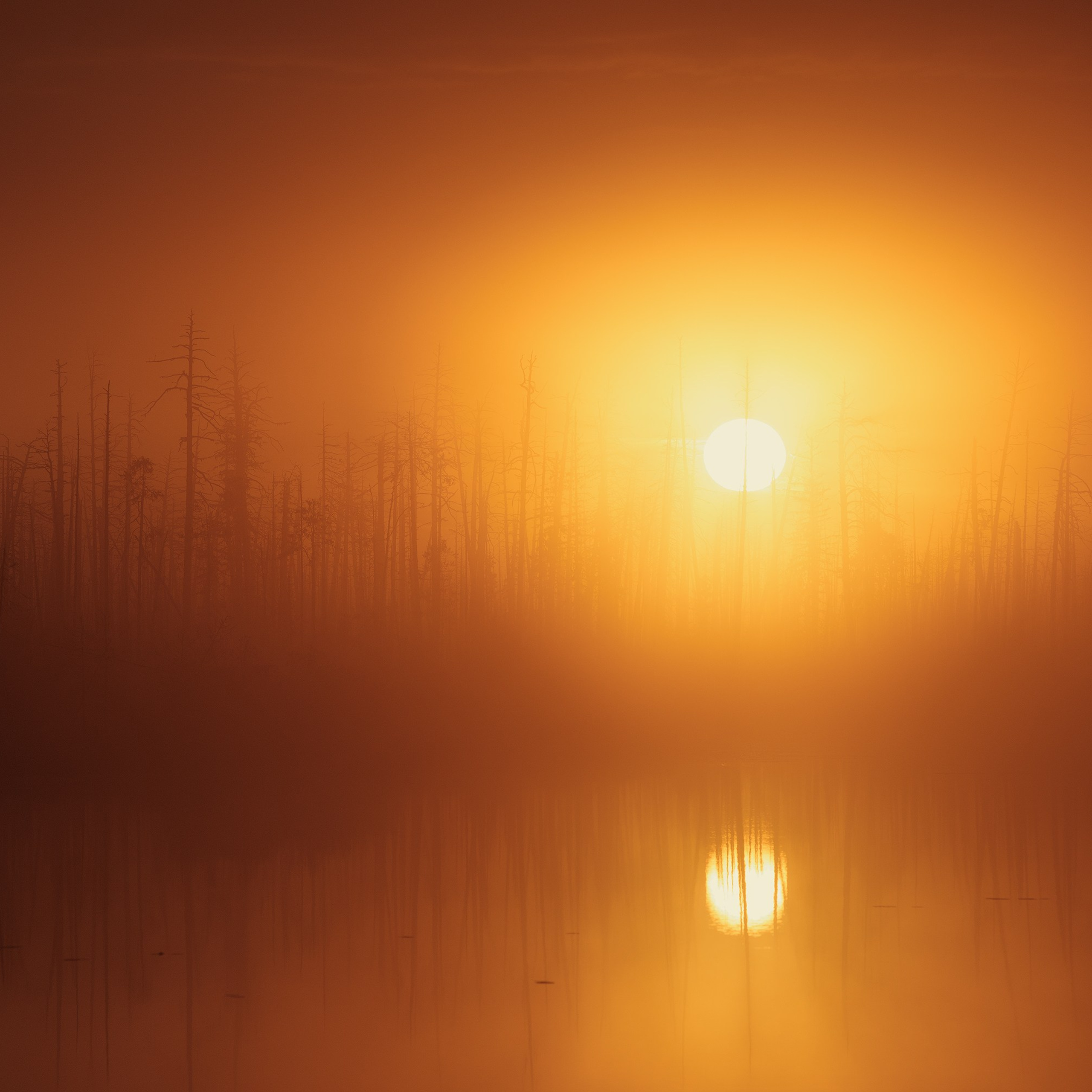 Interior photography. Gallery photography. Photography for interior. Photography for interior design. Landscape on the wall.