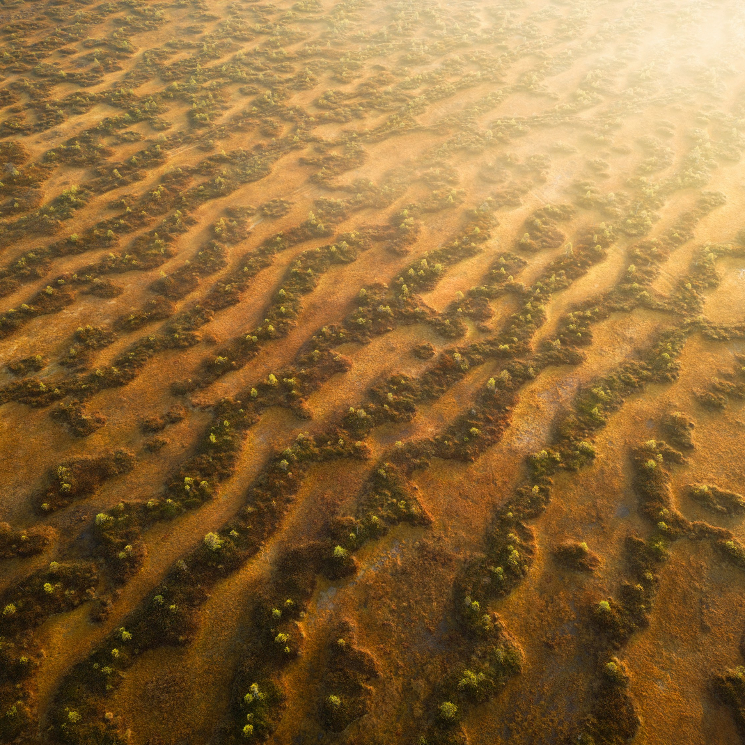 Interior photography. Gallery photography. Interior photography. Interior design photography. Wall landscapes. Art photography. Fine art photography.