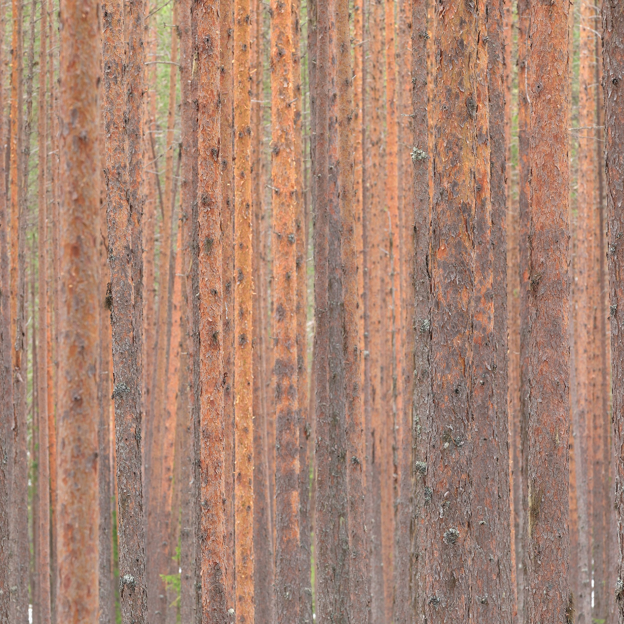 Interior photography. Gallery photography. Photography for interior. Photography for interior design. Landscape on the wall.