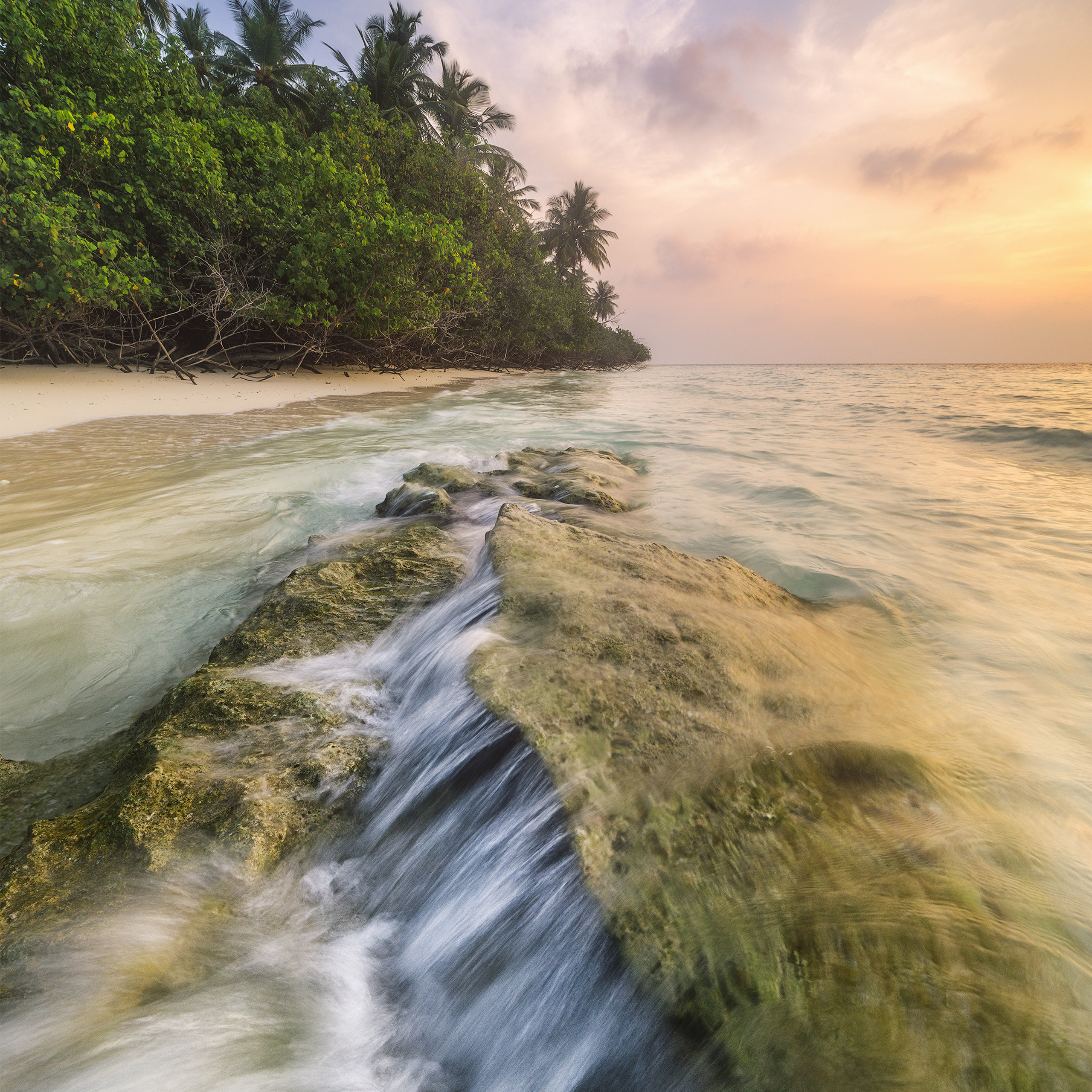 Рассвет на Мальдивах. Волны разбиваются об риф на фоне пальм.