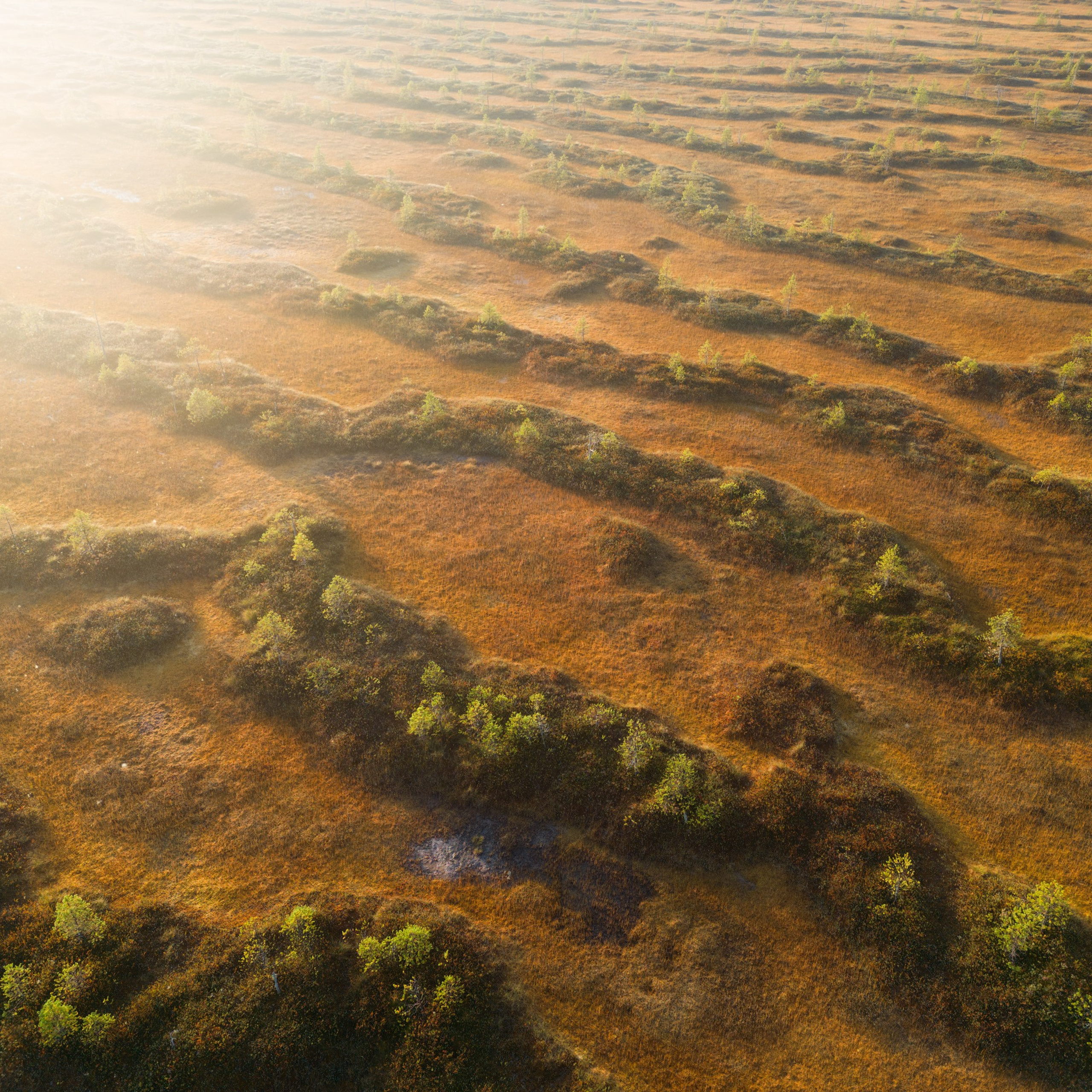 Interior photography. Gallery photography. Interior photography. Interior design photography. Wall landscapes. Art photography. Fine art photography.