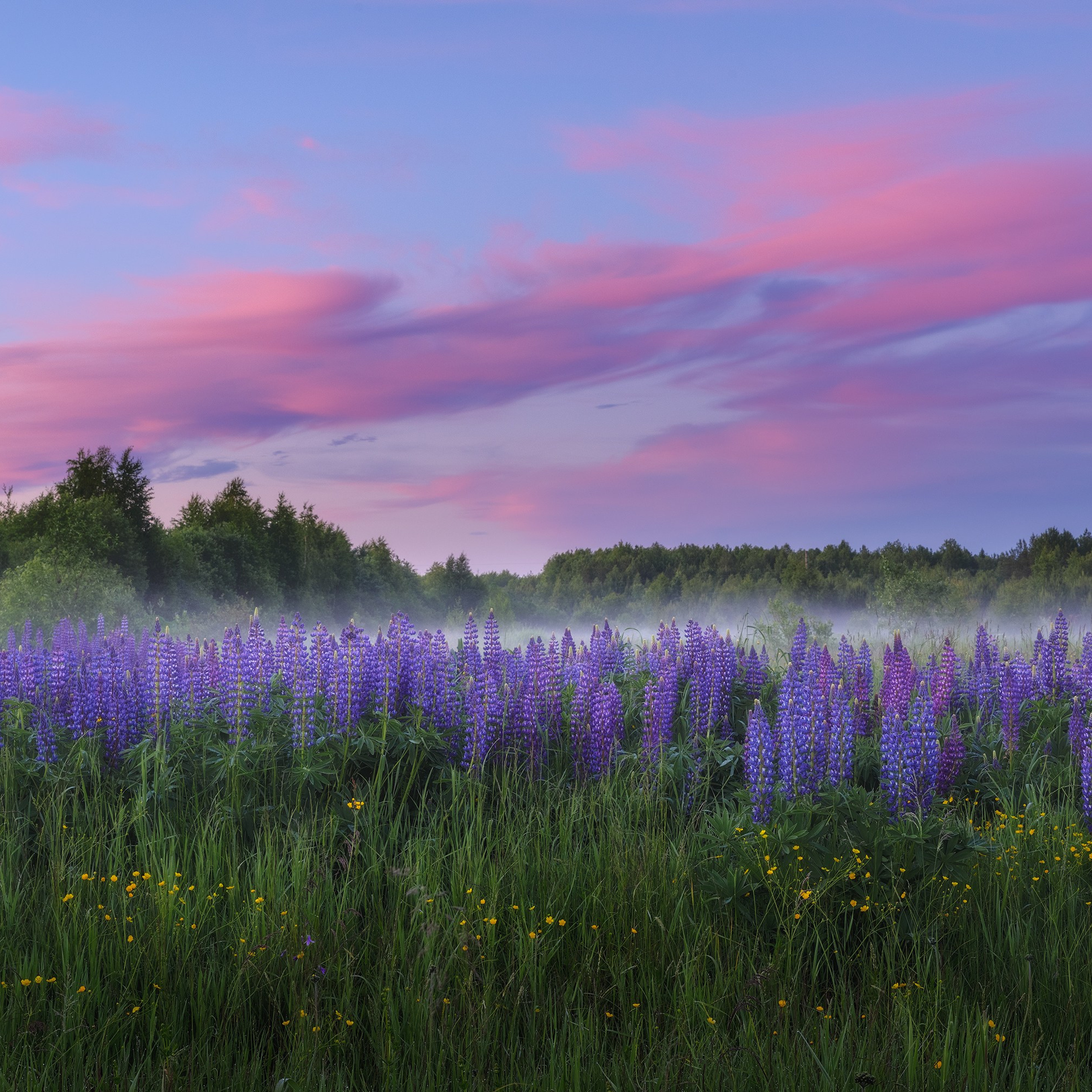 Interior photography. Gallery photography. Photography for interior. Photography for interior design. Landscape on the wall.