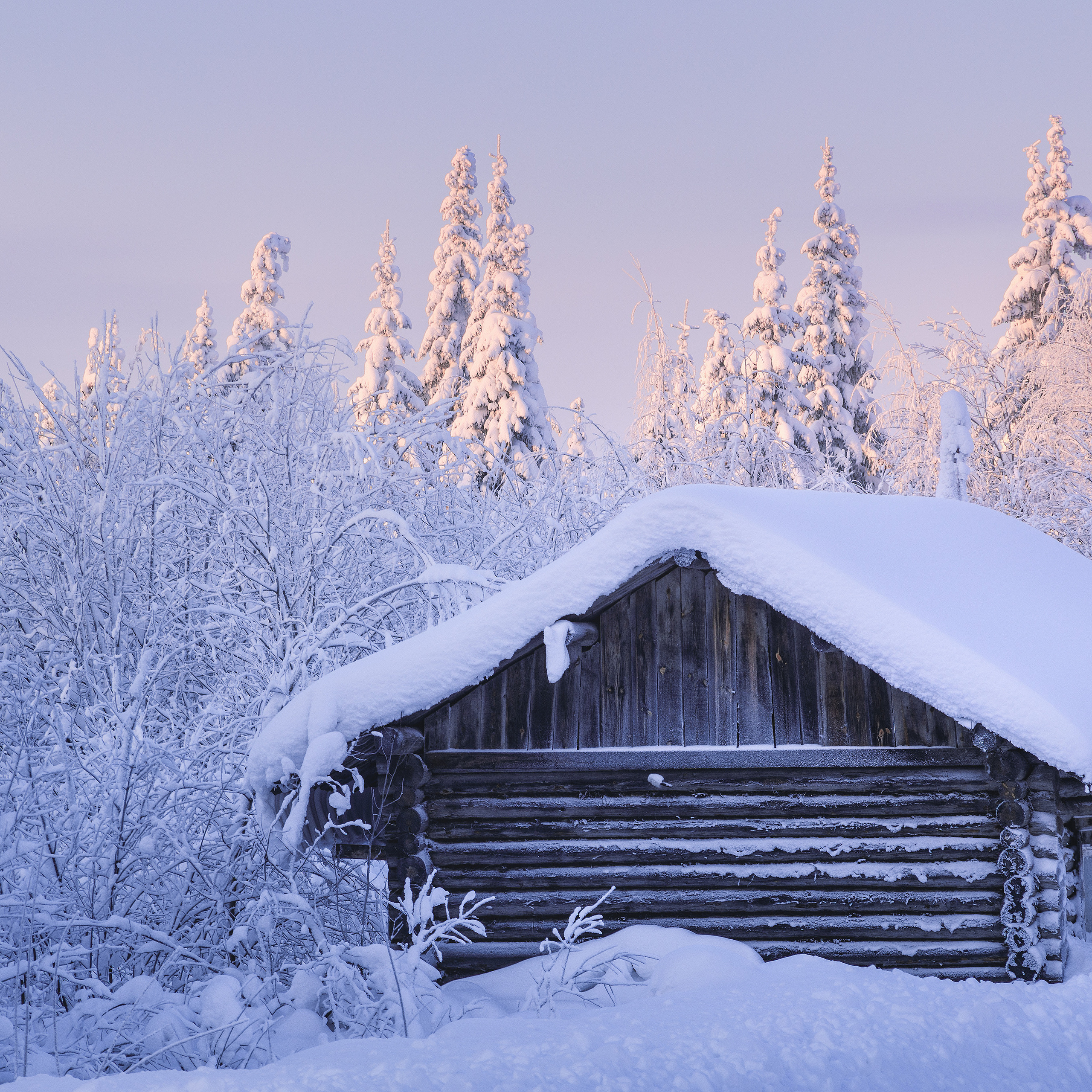 Forest hut in a winter fairy tale. Frosty morning in the Komi Republic. Sunrise in winter. Snow covered forest. Snow-covered firs. Snow drifts. Winter landscape. Landscape with snow.