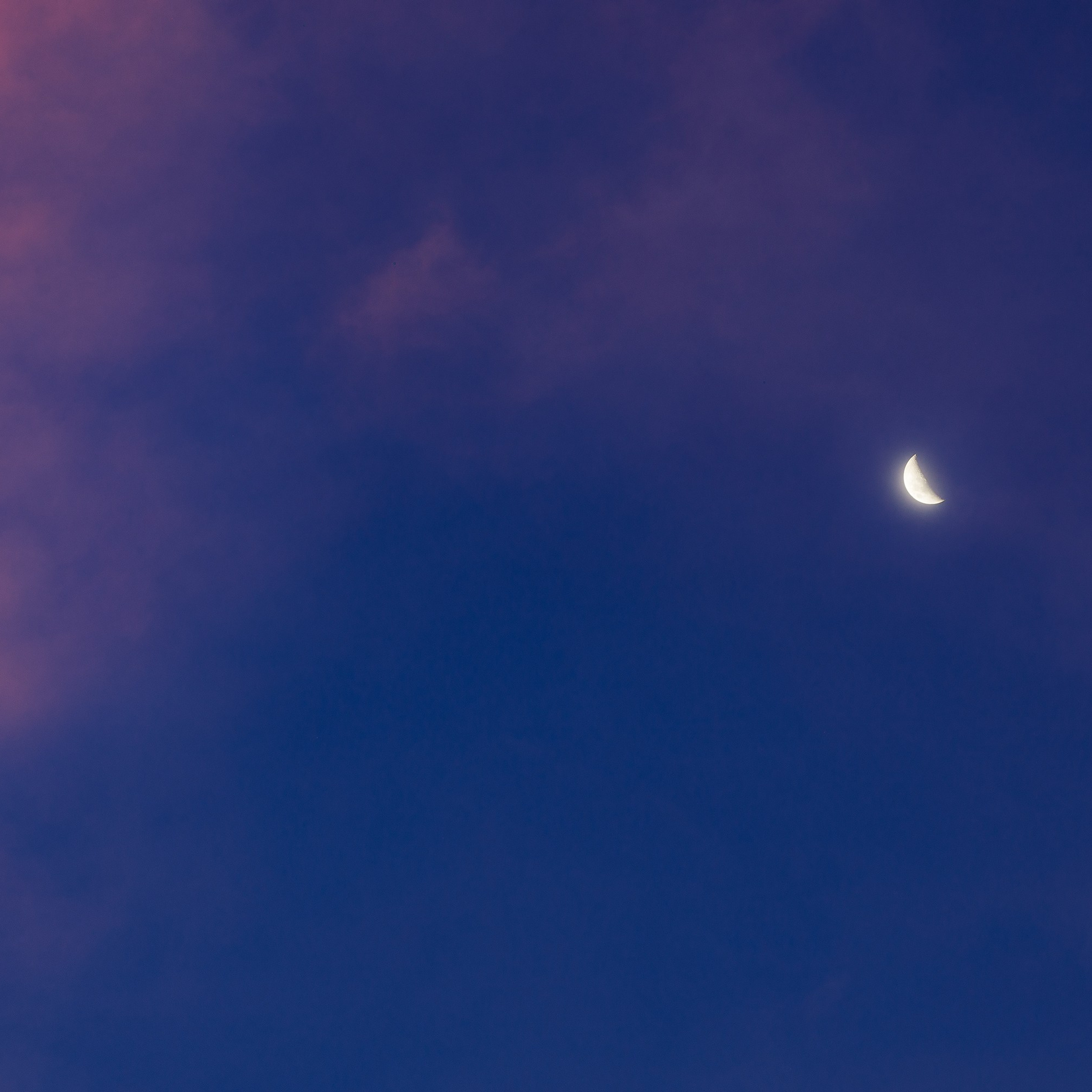 Interior photography. Gallery photography. Photography for interior. Photography for interior design. Landscape on the wall.