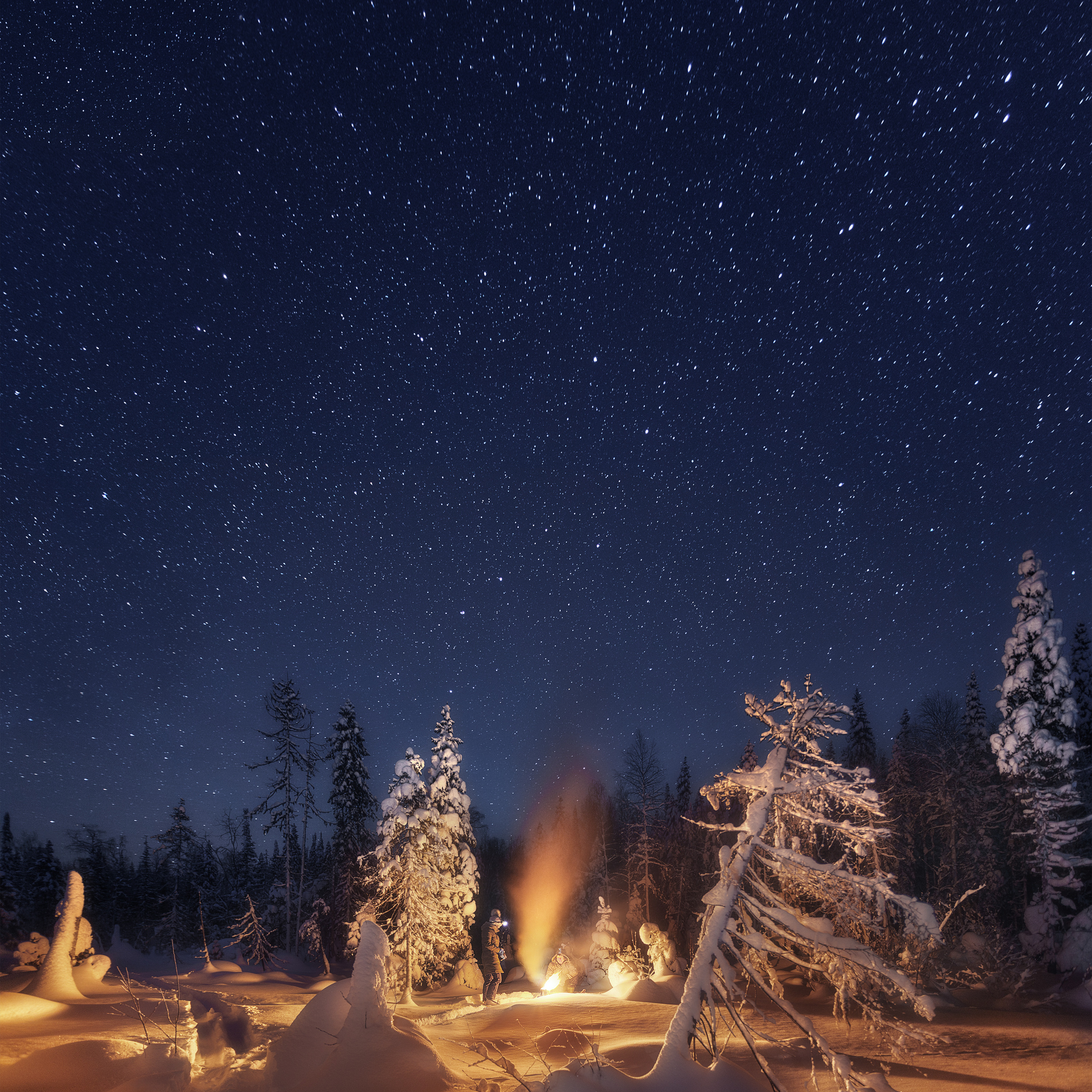 Путешественники греются у костра ночью зимой. Звёздное небо над головой.