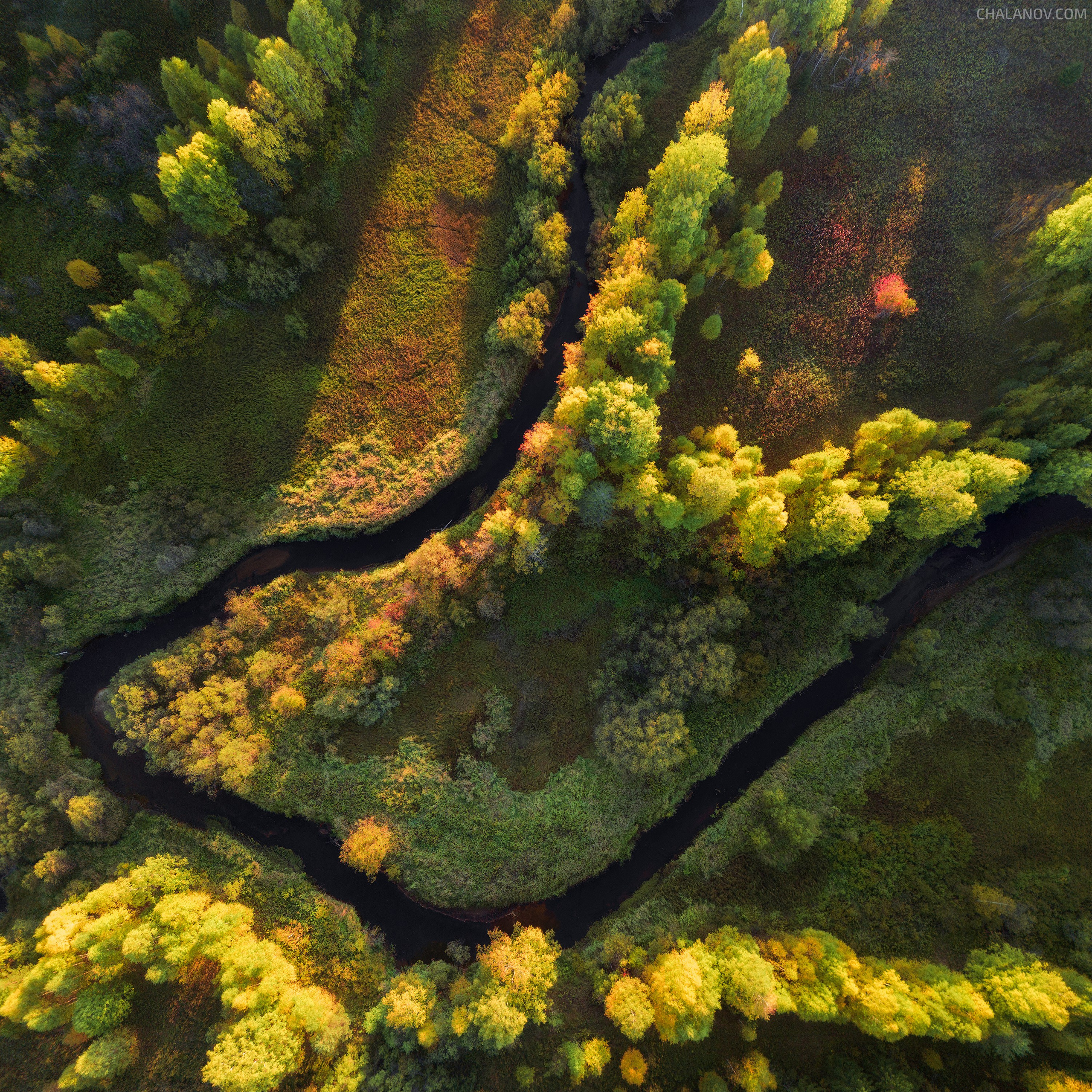 Interior photography. Gallery photography. Photography for interior. Photography for interior design. Landscape on the wall.