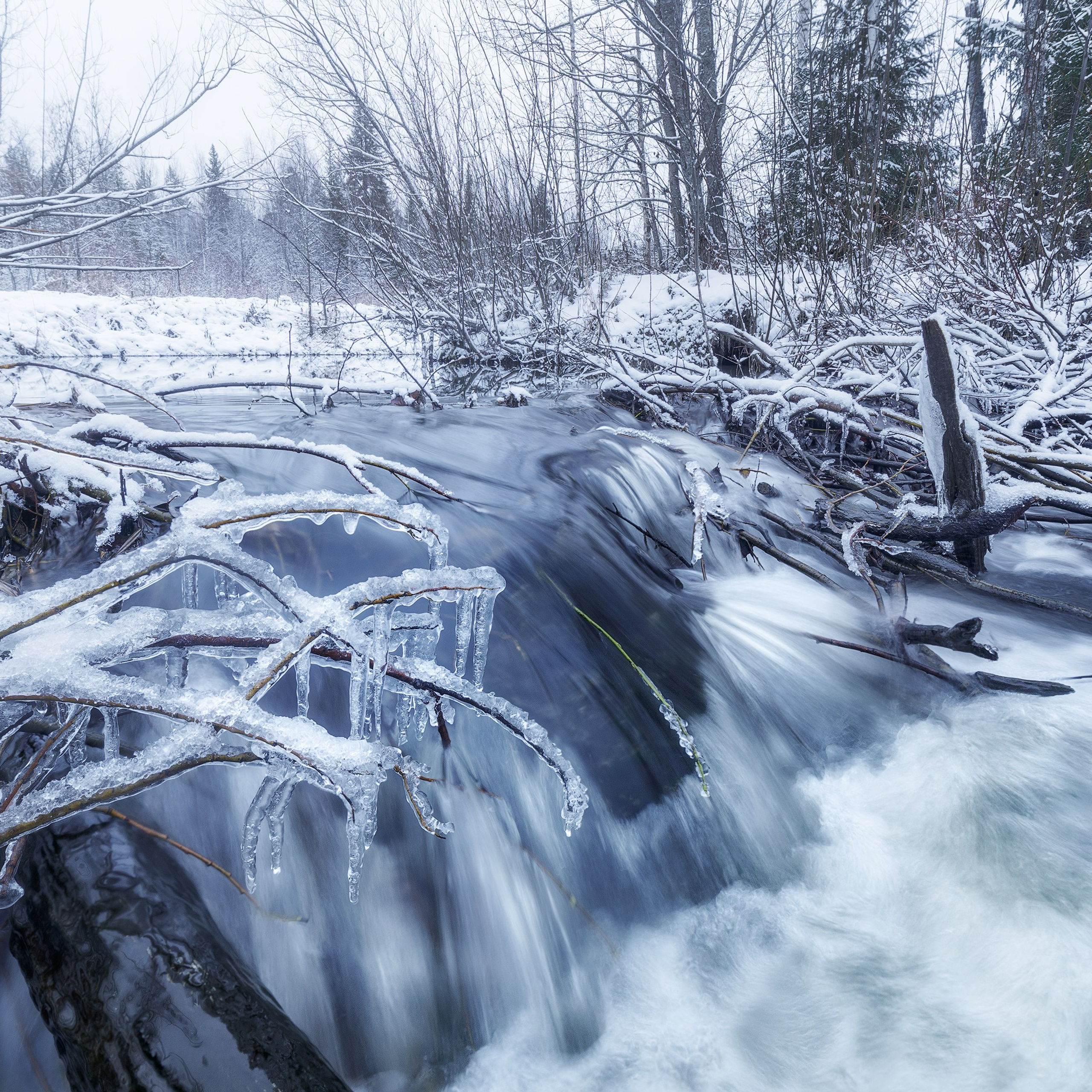 Ледяные кристаллы. Незамерзающая зимняя речка. Начало зимы. Зимний пейзаж. Республика Коми.