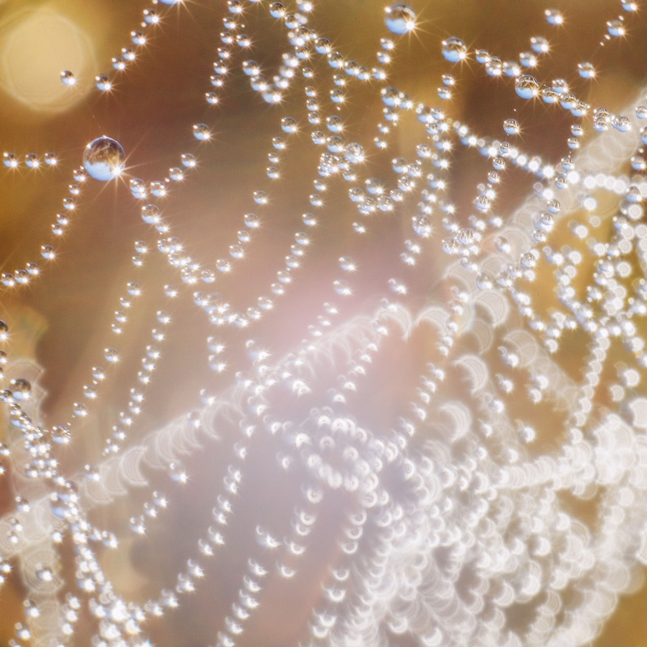 Interior photography. Gallery photography. Photography for interior. Photography for interior design. Landscape on the wall.