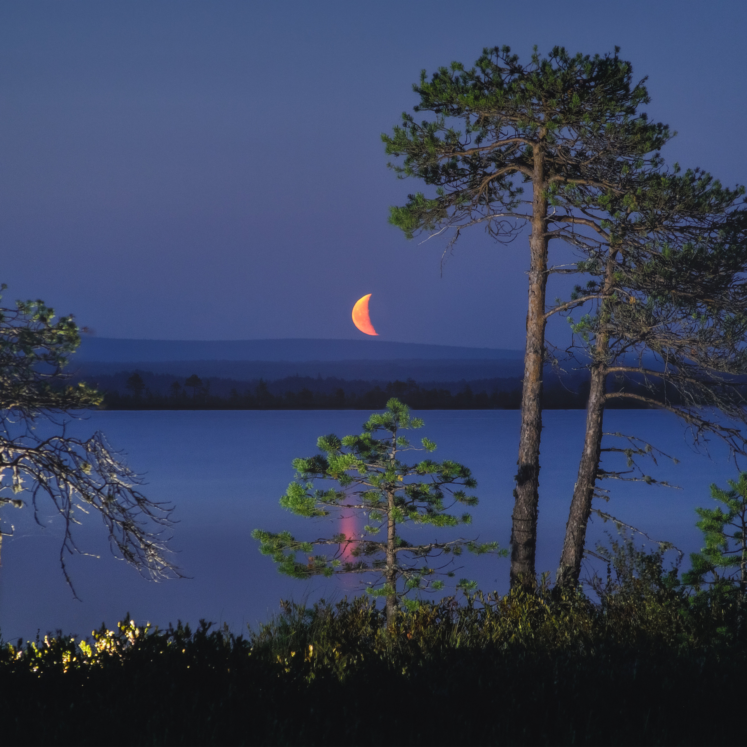 Восход убывающей Луны над озером Кадам. Сосны на берегу и Месяц на горизонте. Луна в виде серпа.
