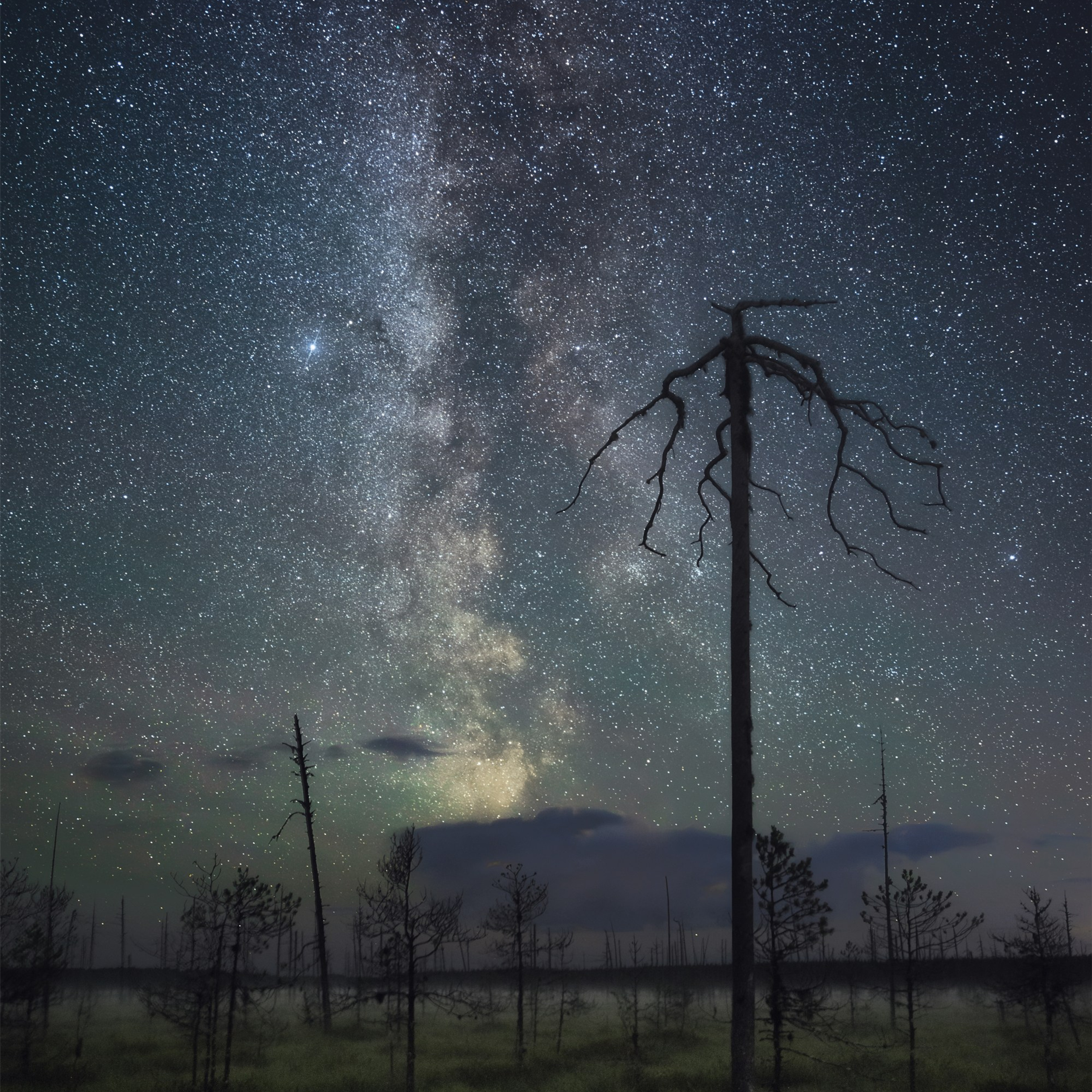 The Milky Way over a gloomy foggy swamp. Starry sky over an autumn swamp. The Milky Way on a rainy night.