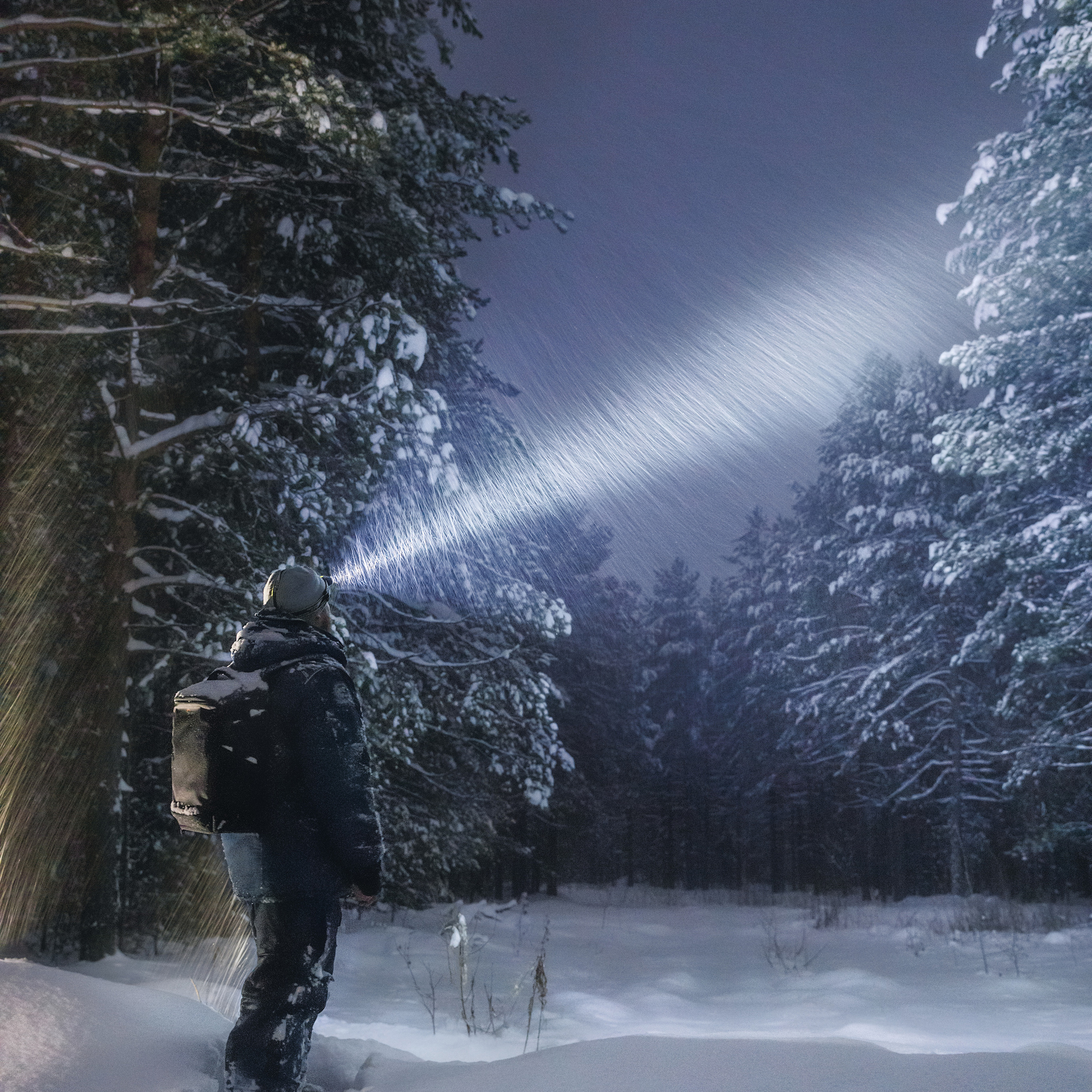 A blizzard at night in a pine forest. Lonely traveler in the forest. The beam from the lantern.