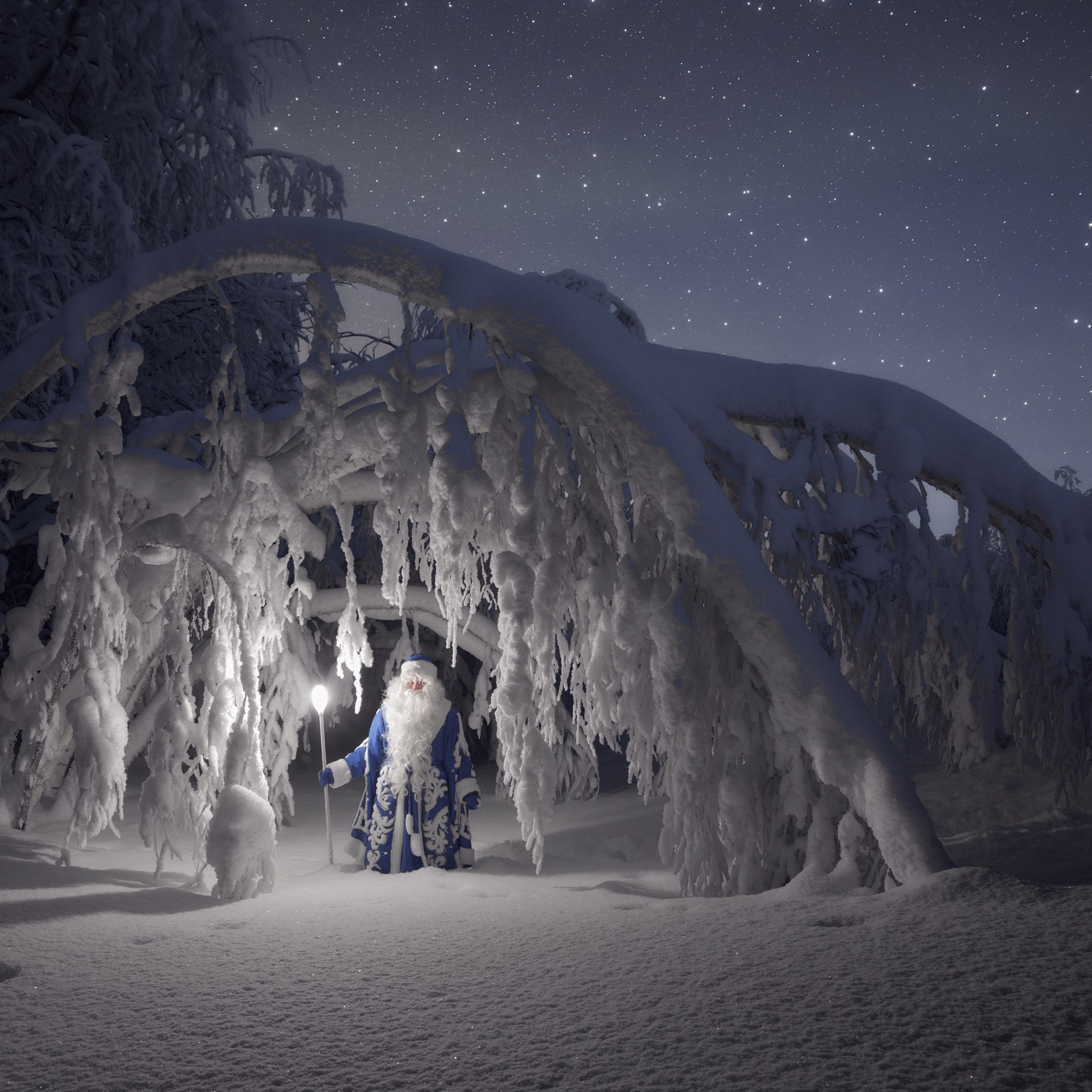 Santa Claus in the winter forest at night