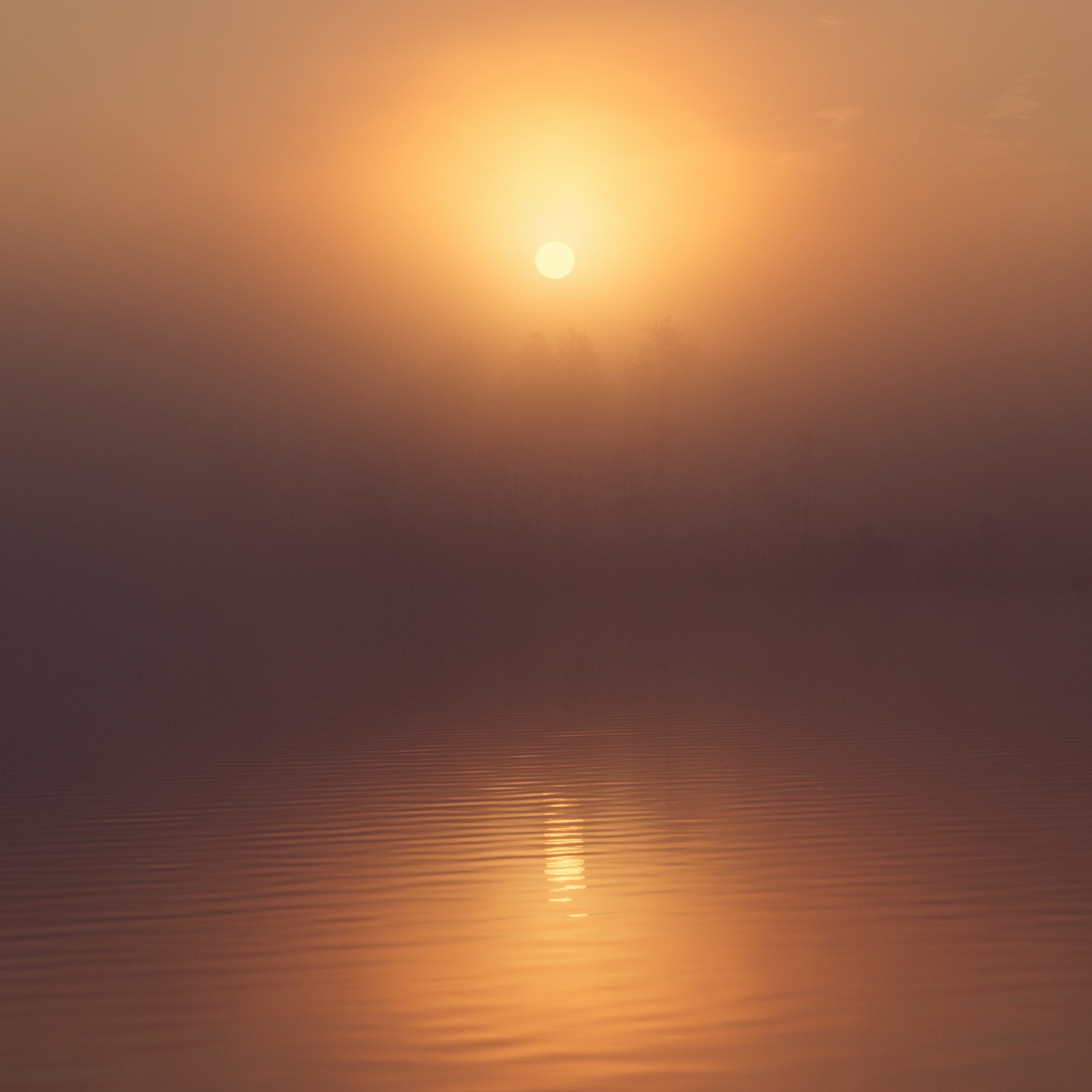 Interior photography. Gallery photography. Interior photography. Interior design photography. Wall landscapes. Art photography. Fine art photography.