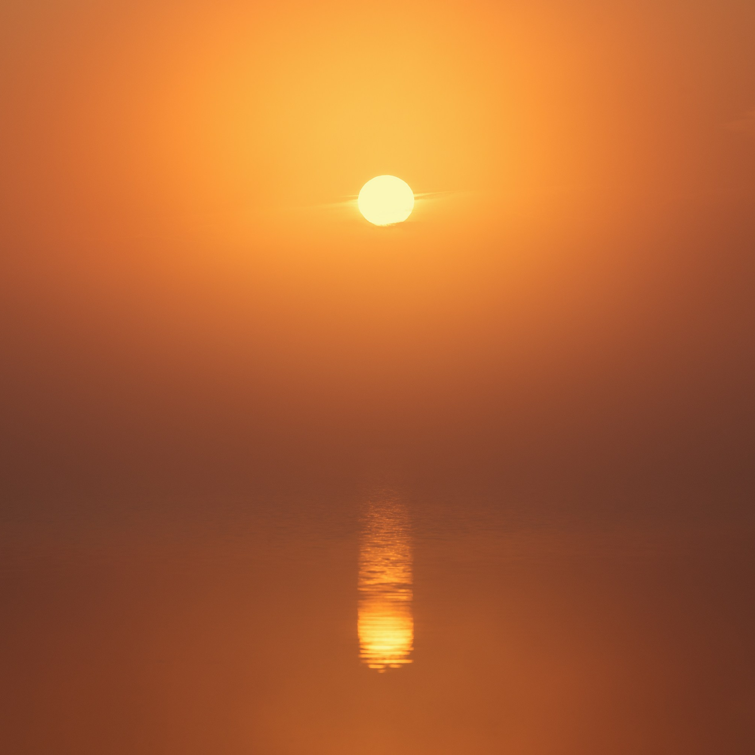 Interior photography. Gallery photography. Photography for interior. Photography for interior design. Landscape on the wall.