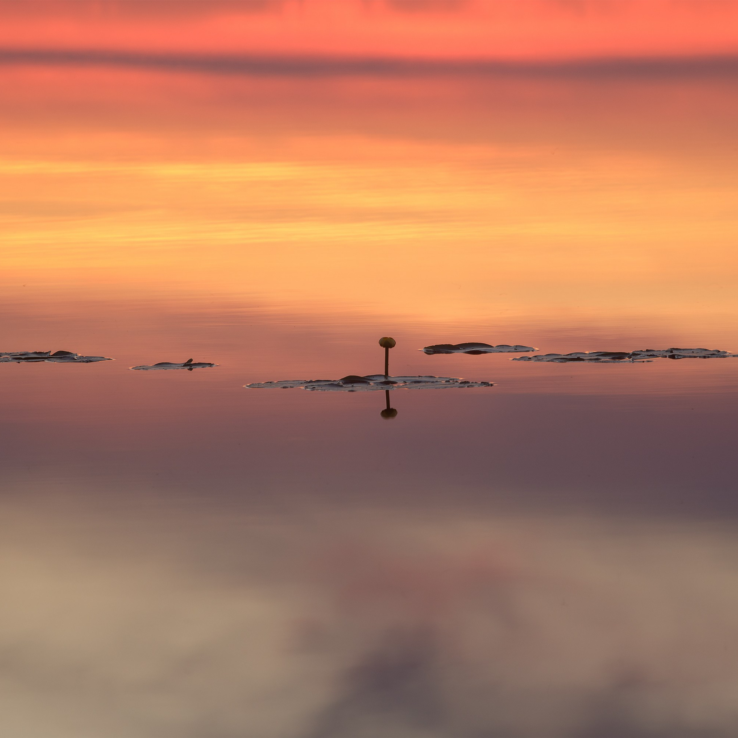 Interior photography. Gallery photography. Photography for interior. Photography for interior design. Landscape on the wall.