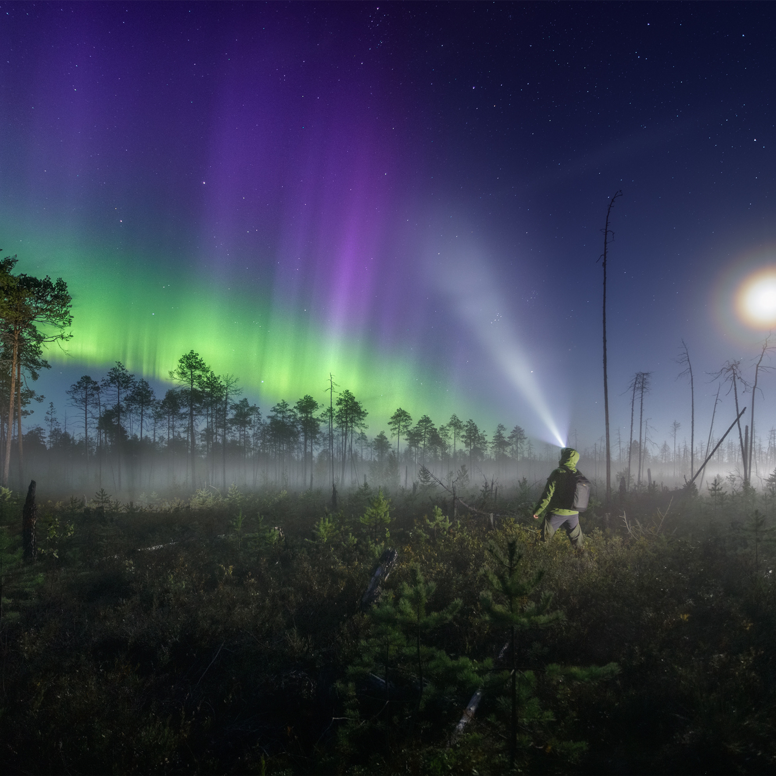 Northern lights and people in the Komi Republic
