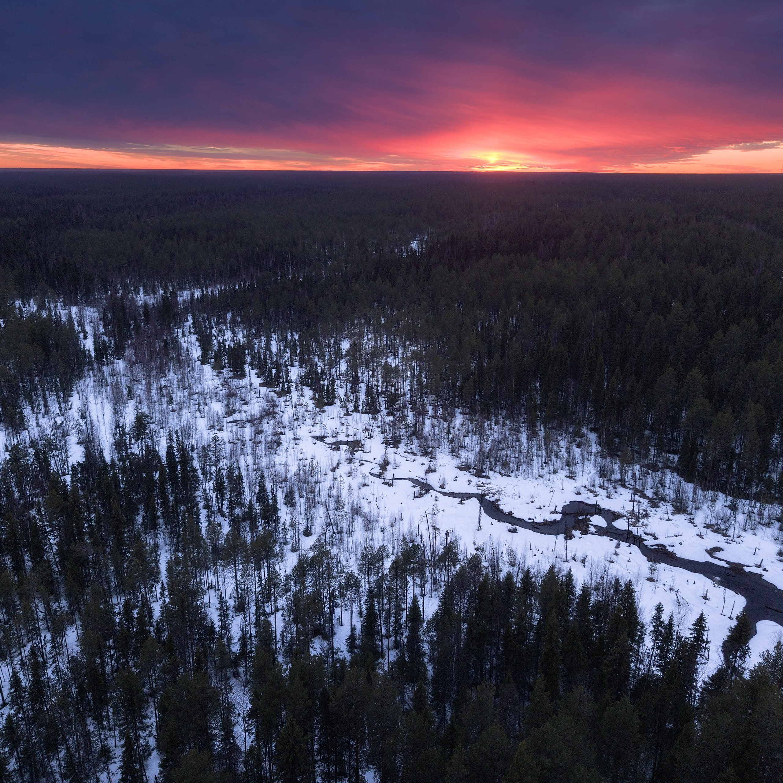 A scarlet sunset over a spring stream. Spring taiga. Drone-shot landscape with a beautiful sunset. Aerial photography.