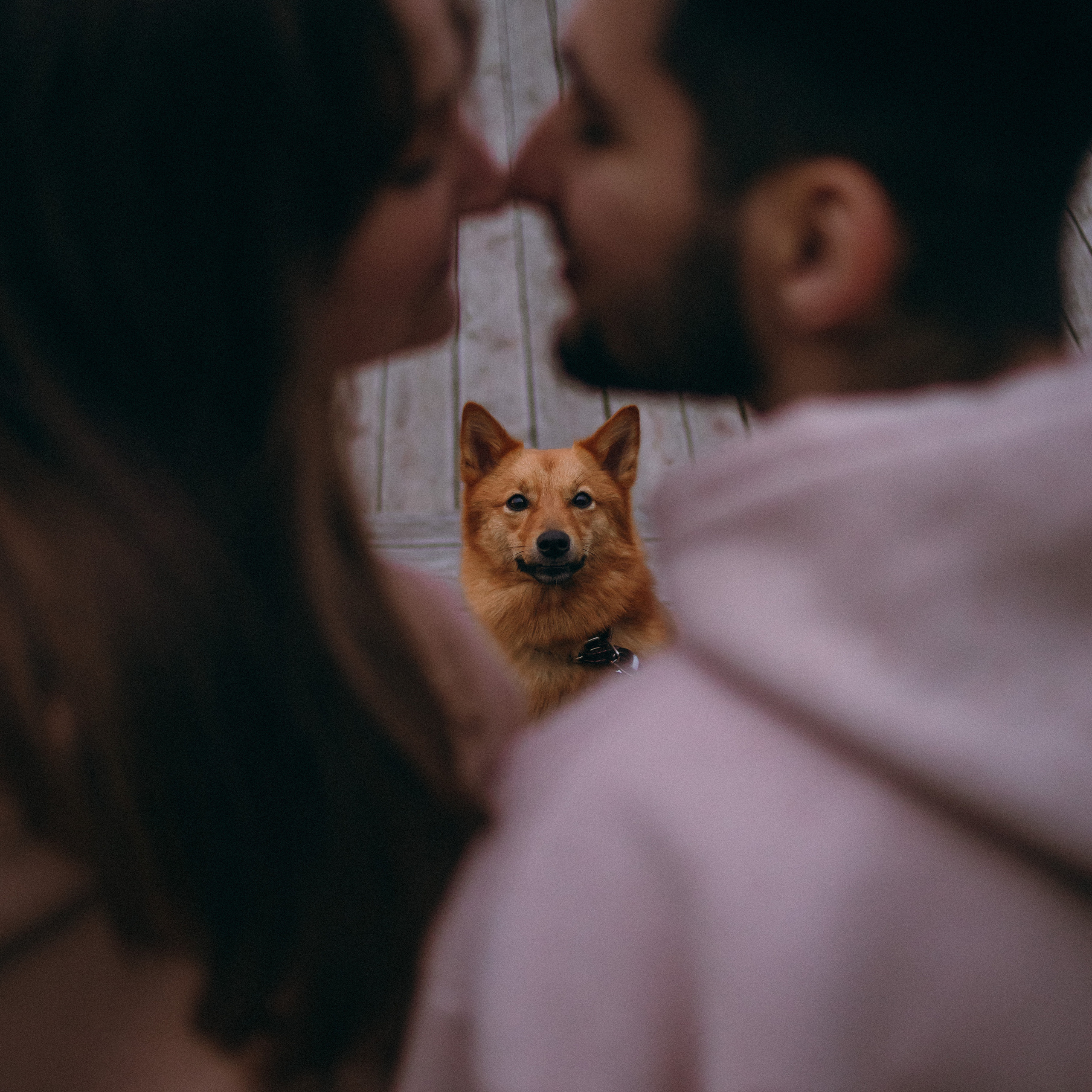 Отзывы. Фотограф Юлия Говор