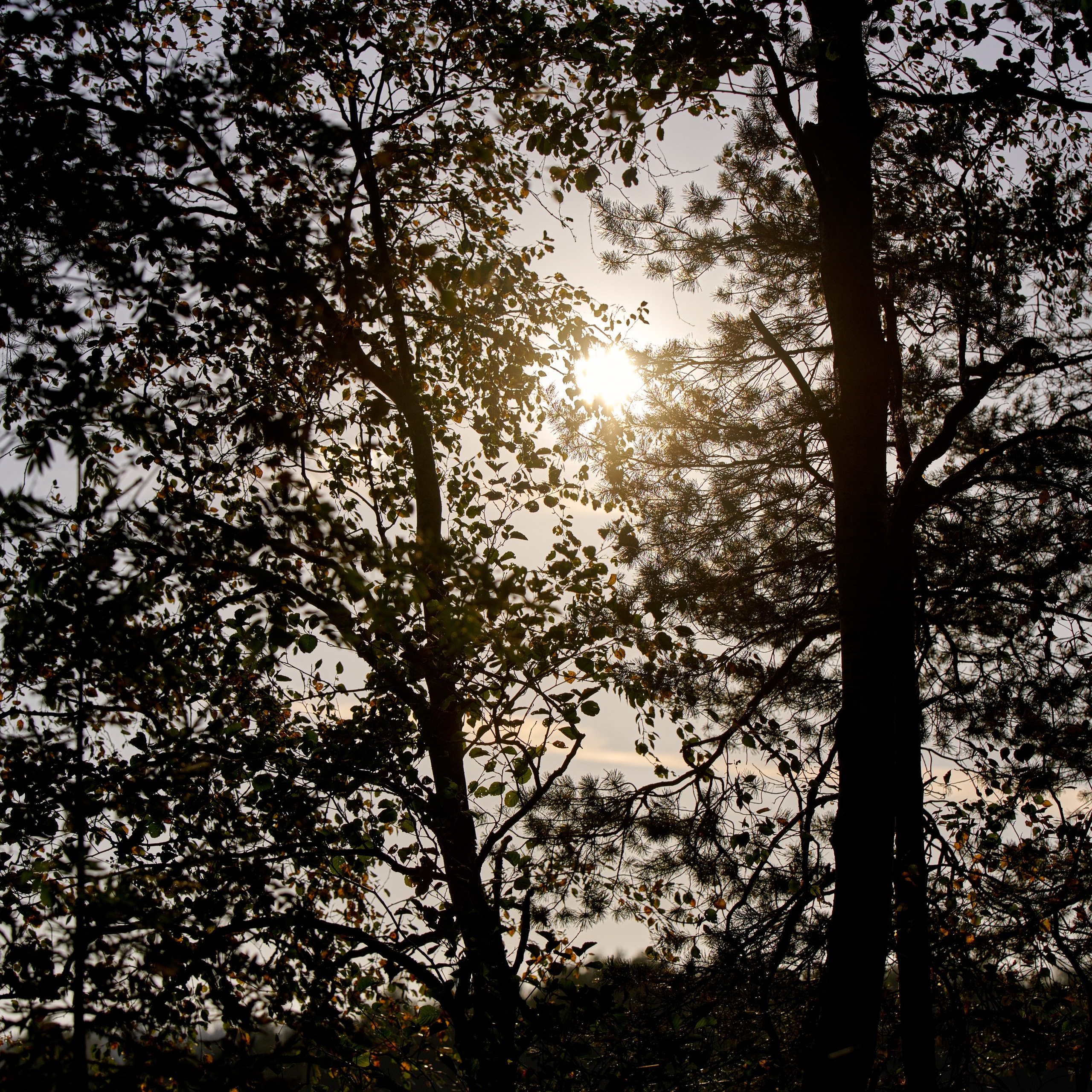 Отзывы. Сайт Фотографа Колотилина Дмитрия