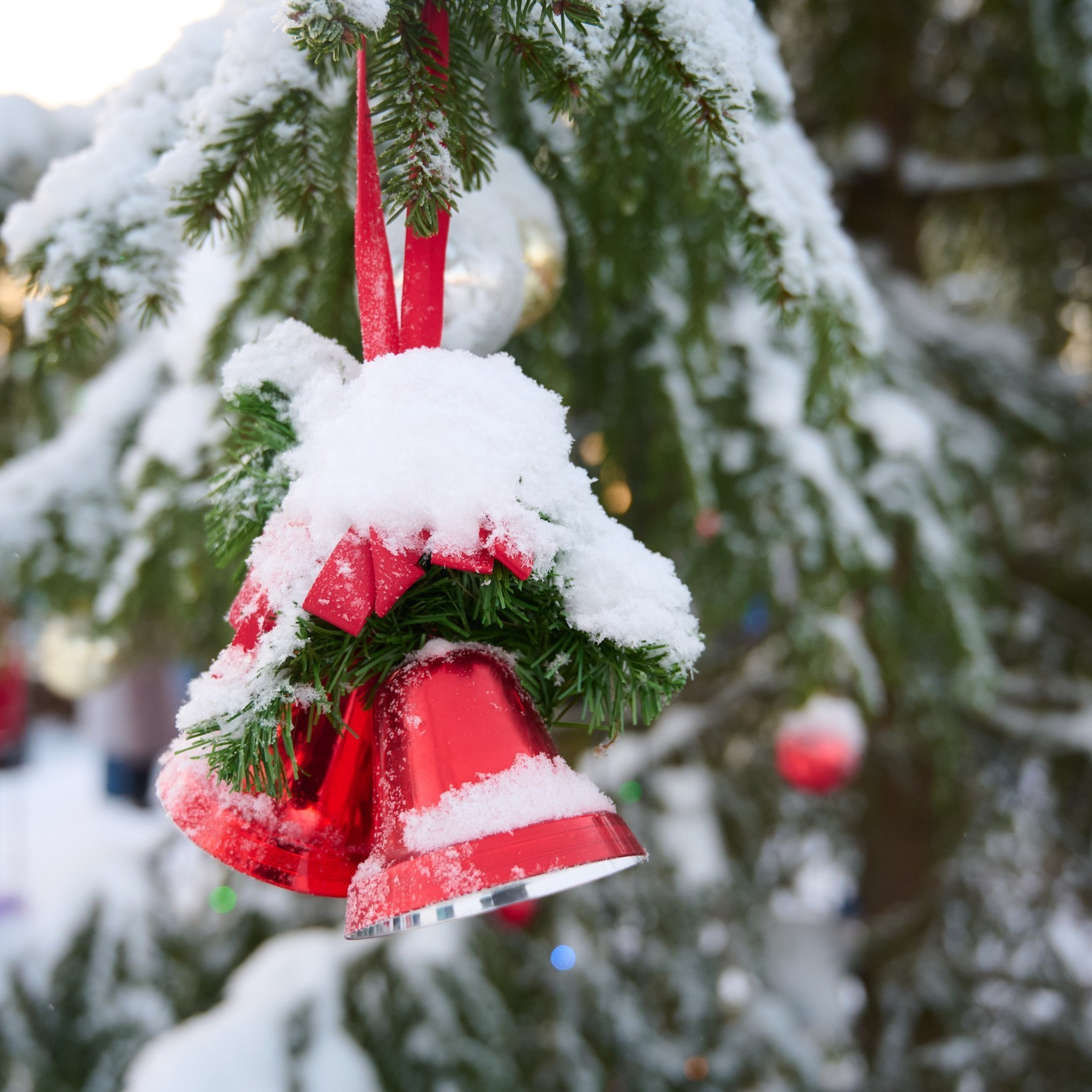 Отзывы. Сайт Фотографа Колотилина Дмитрия